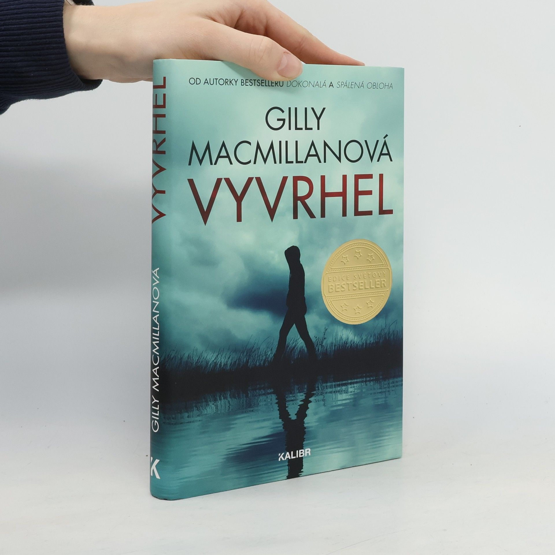 Gilly Macmillan Vyvrhel