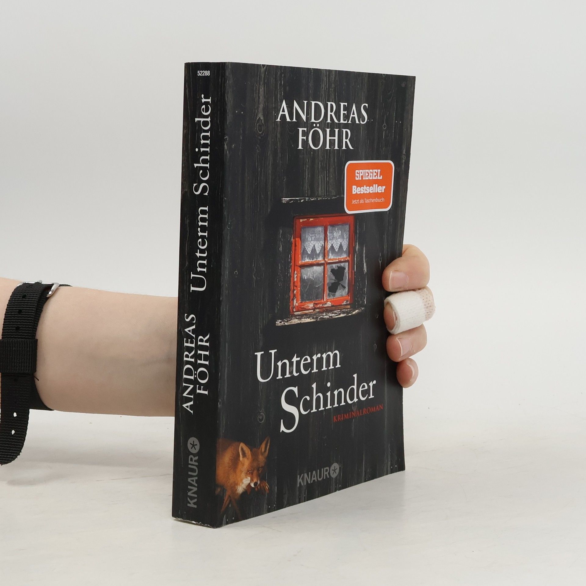 Andreas Föhr Unterm Schinder