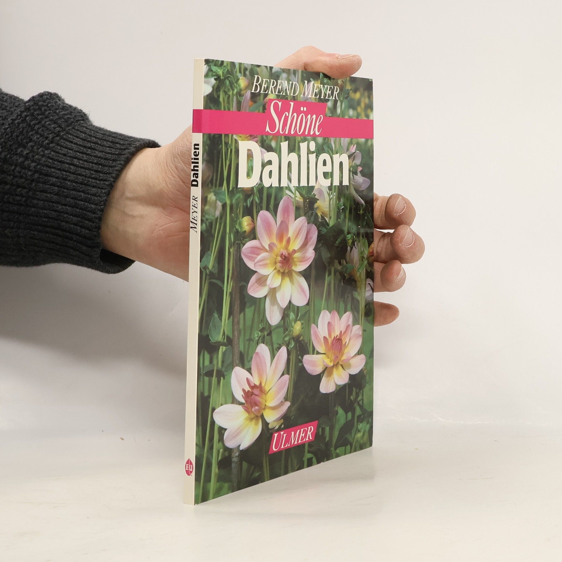 Berend Meyer Schöne Dahlien