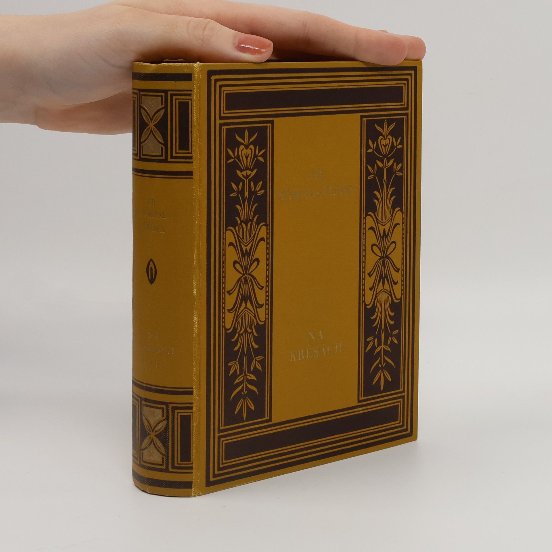 František Sokol Tůma Na kresách III. Původní román z kraje Bezručova