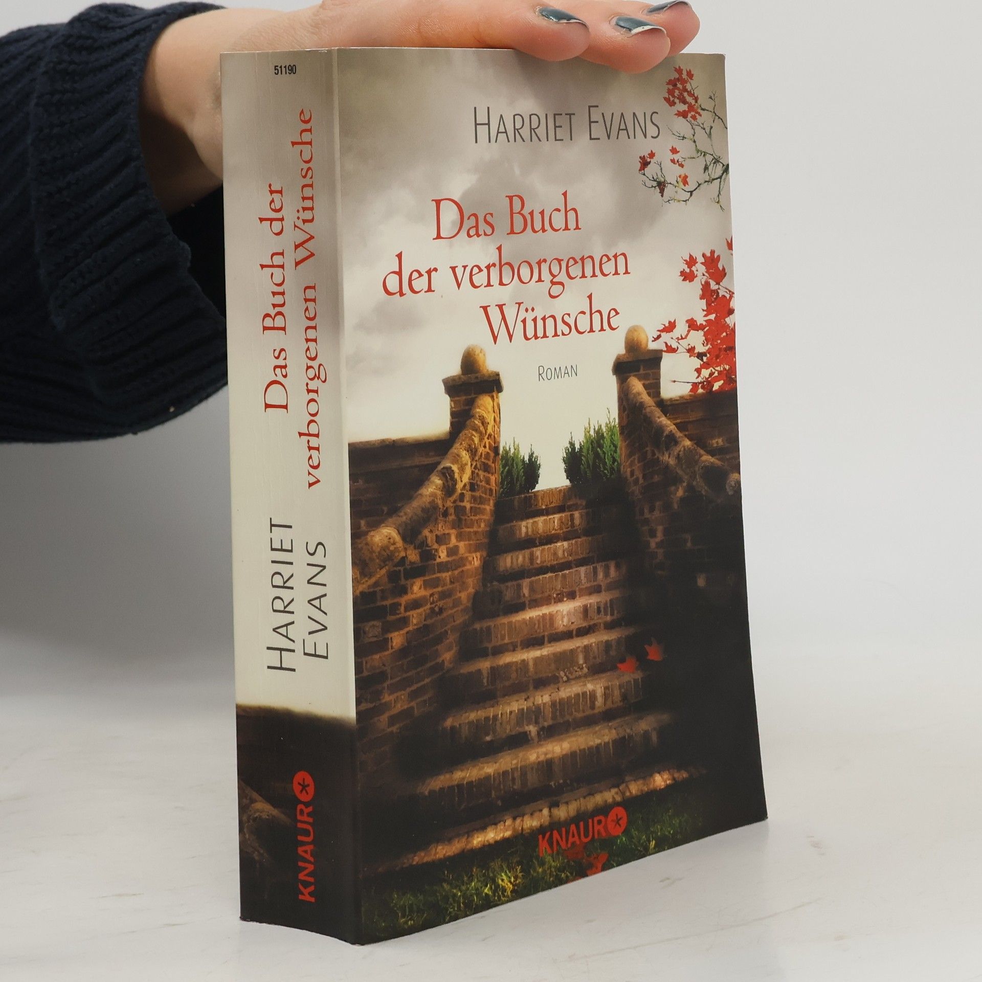 Das Buch der verborgenen Wünsche