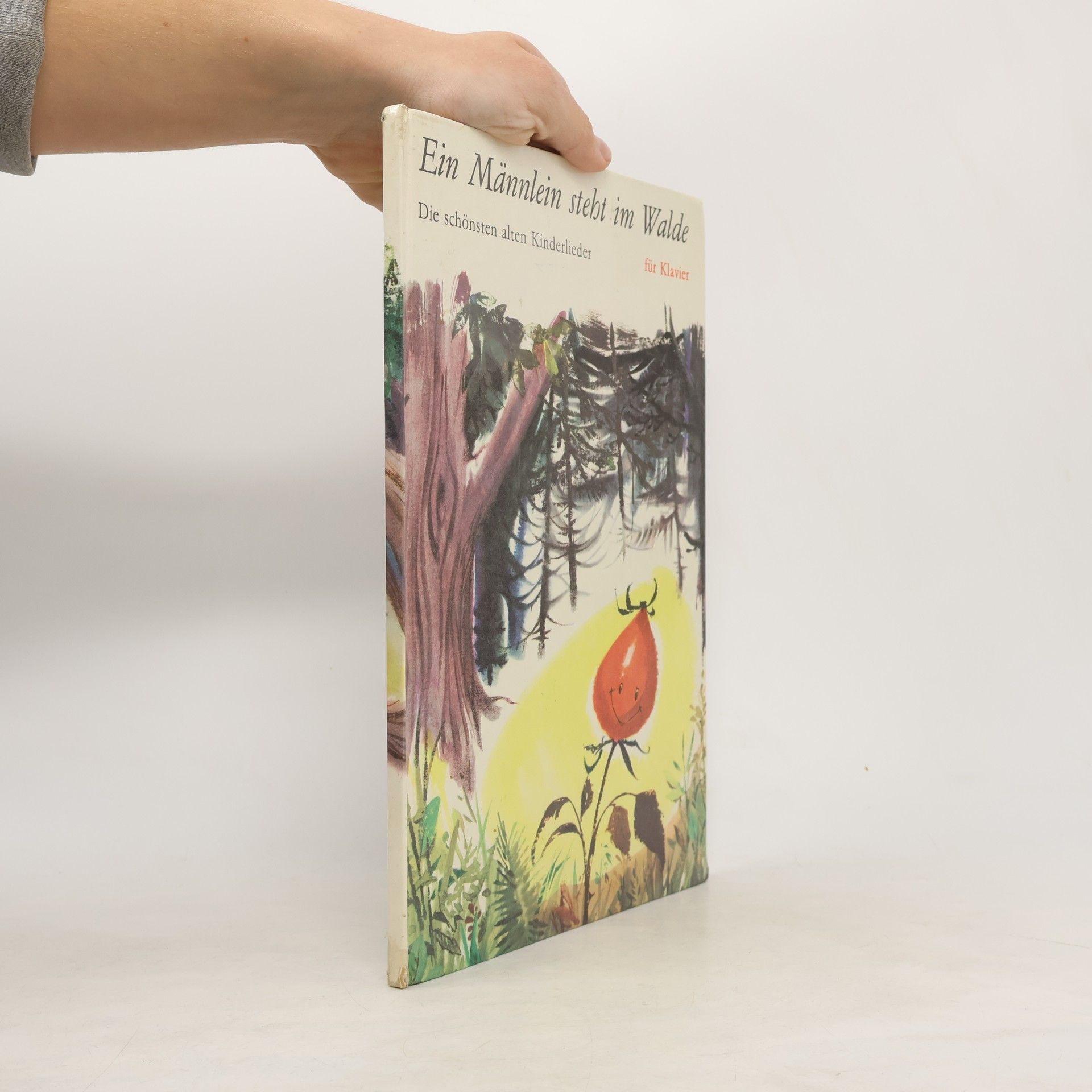Kolektiv autorů Ein Männlein steht im Walde