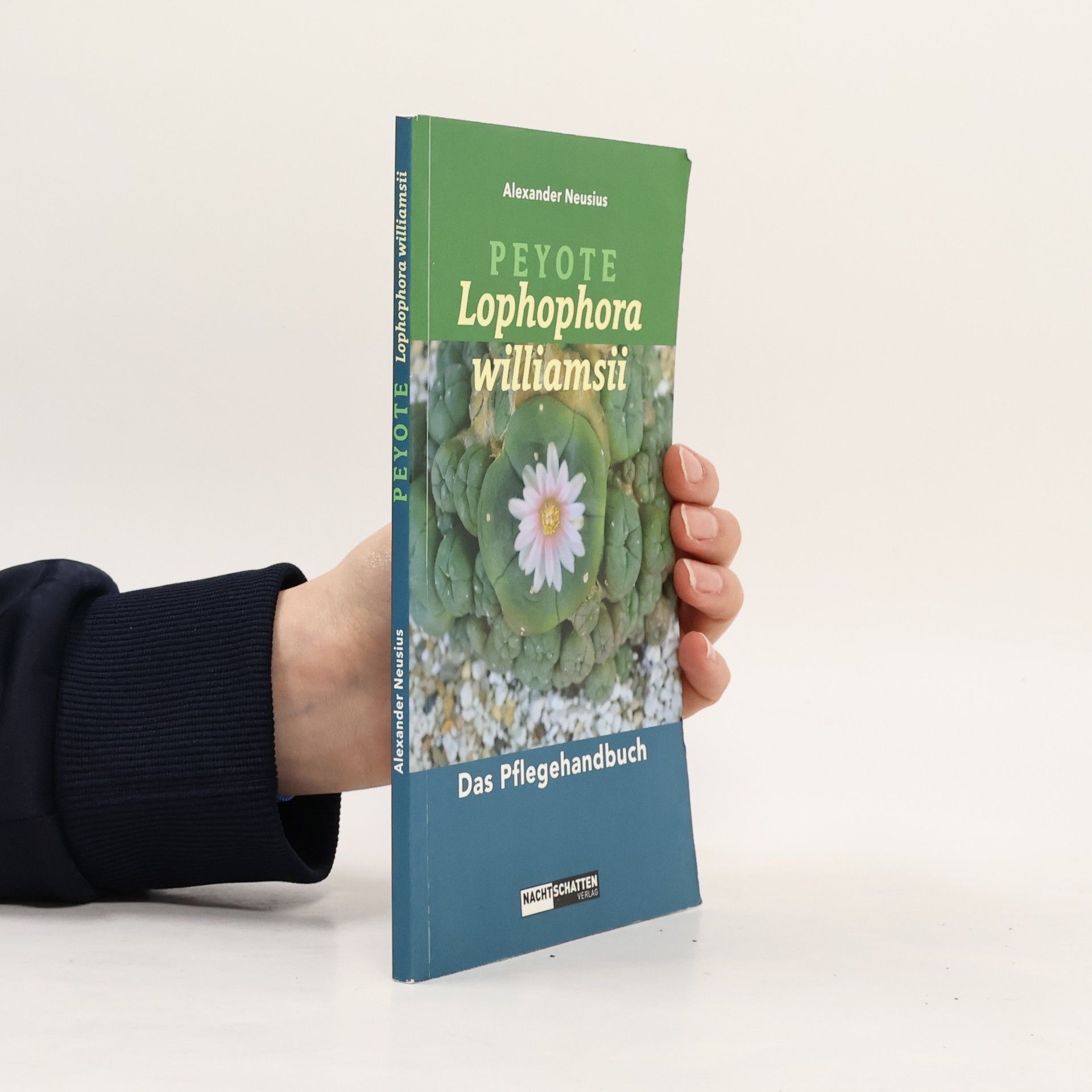 Peyote. Lophophora williamsii