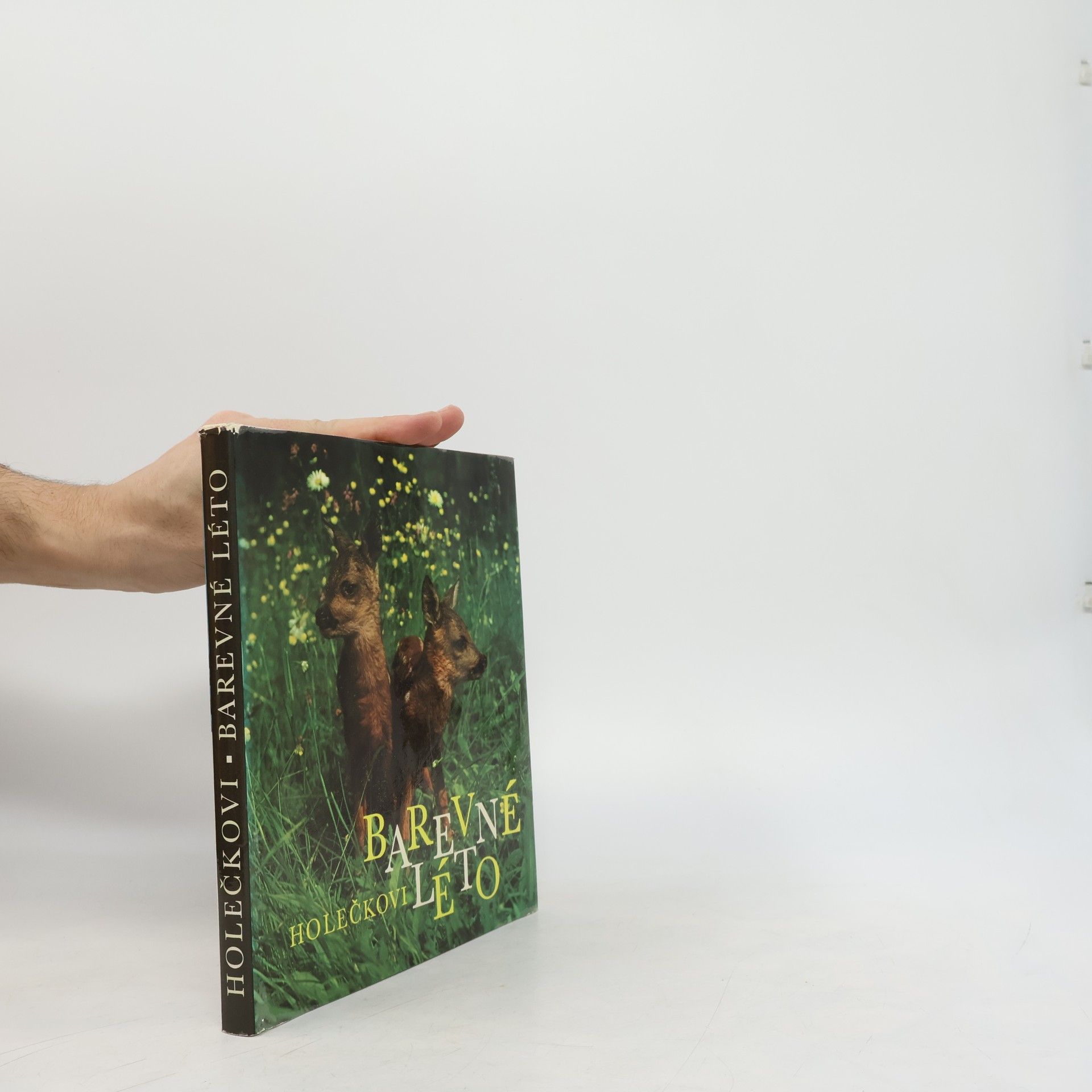 Jaroslav Holeček Barevné léto