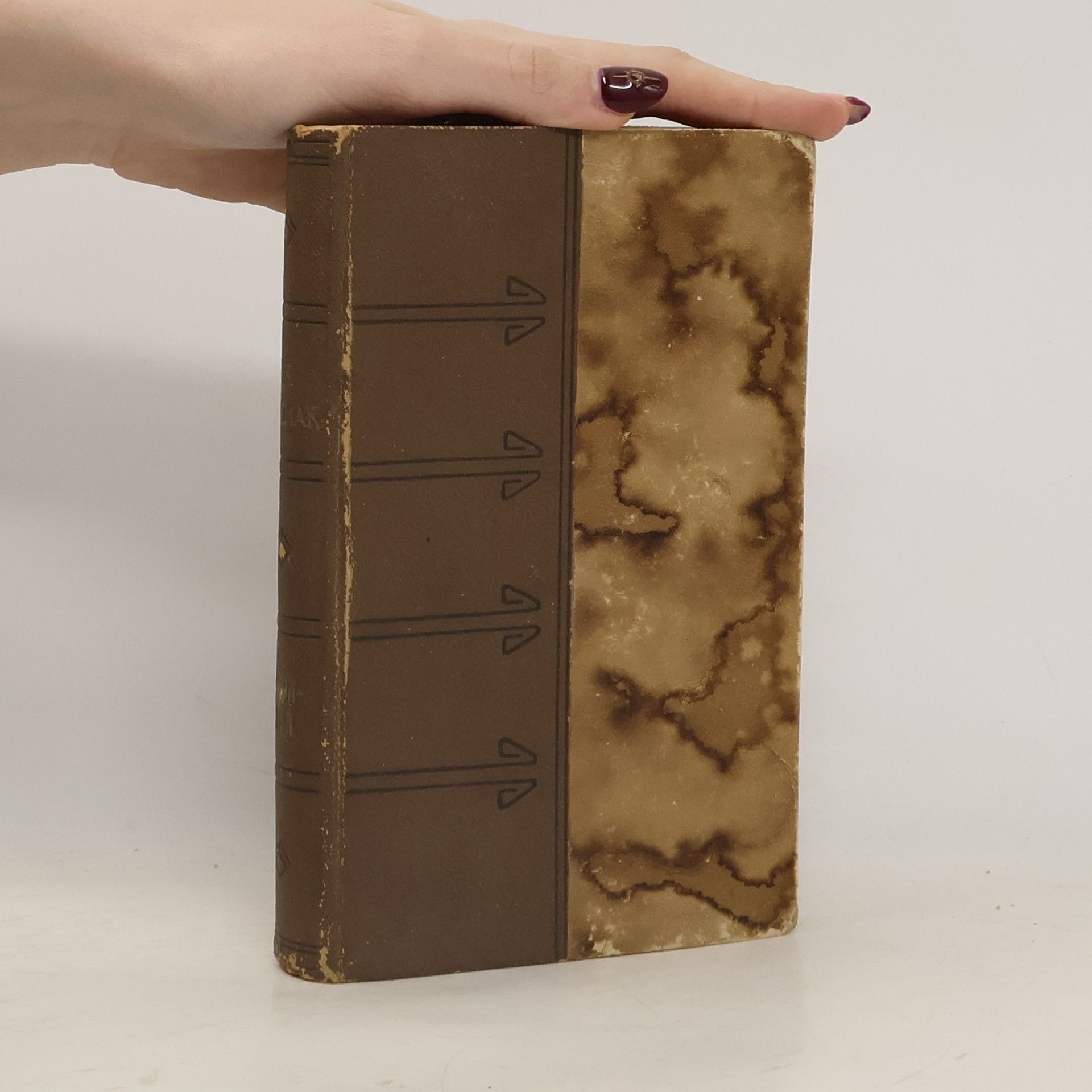 Kolektiv autorů Podobizna J. S. Machara