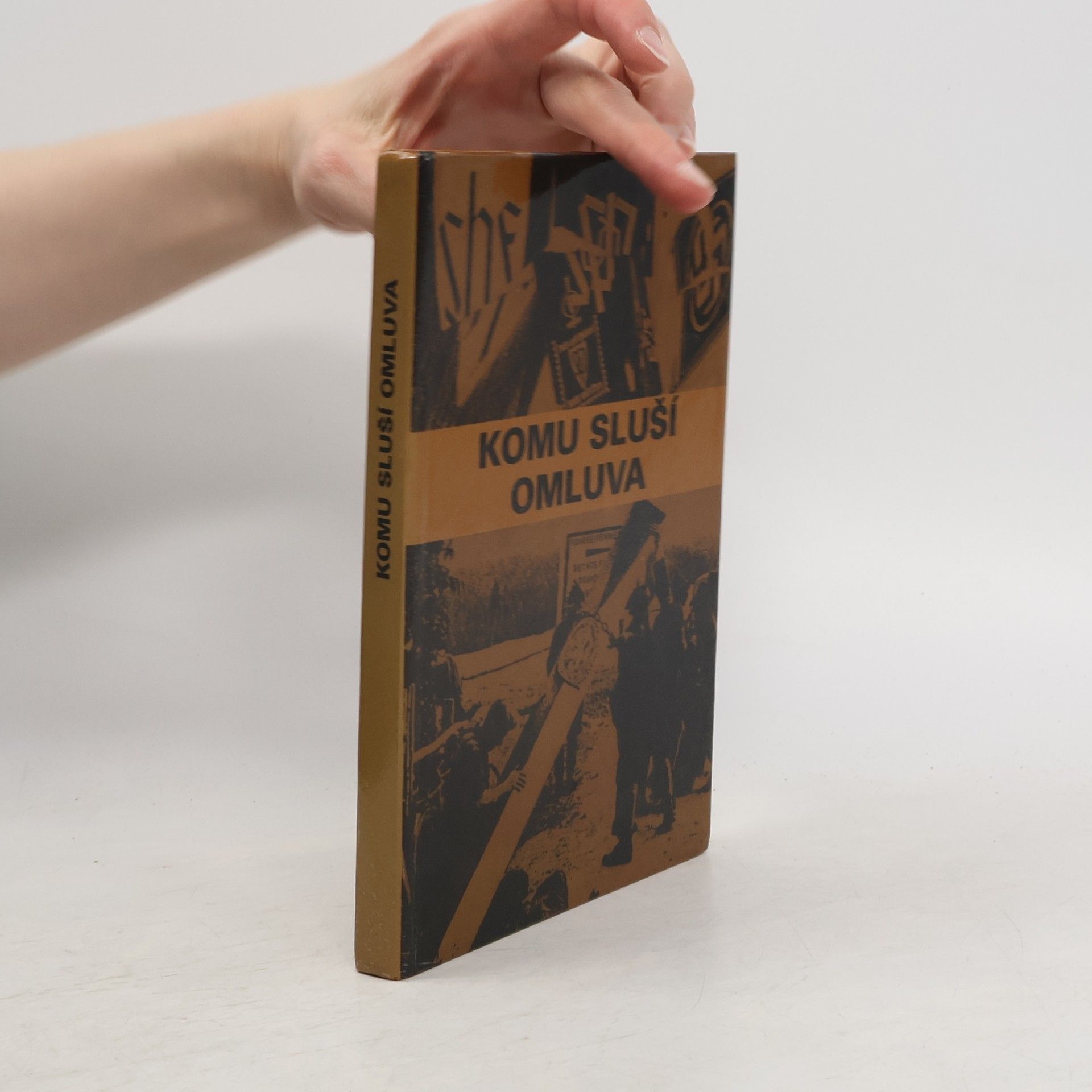 Autorenkollektiv Komu sluší omluva. Češi a sudetští Němci