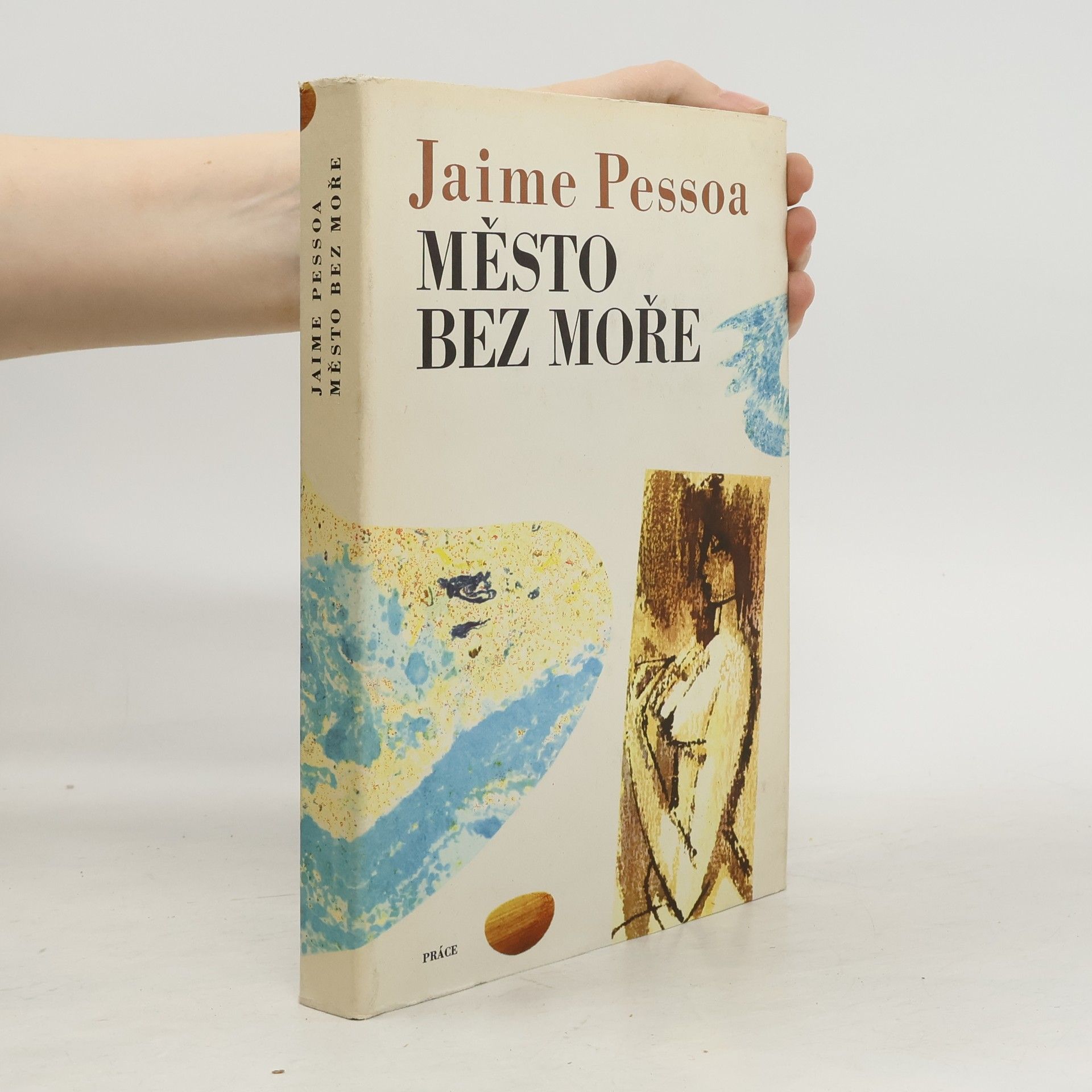 Jaime Pessoa Město bez moře