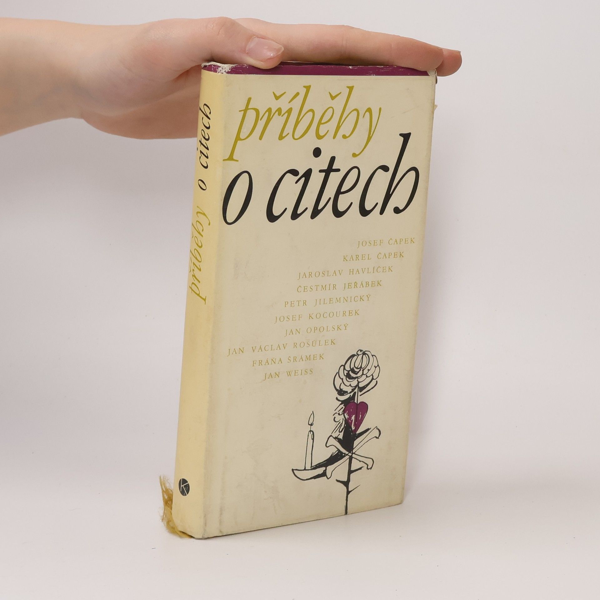 Jan-Robert Simons Příběhy o citech