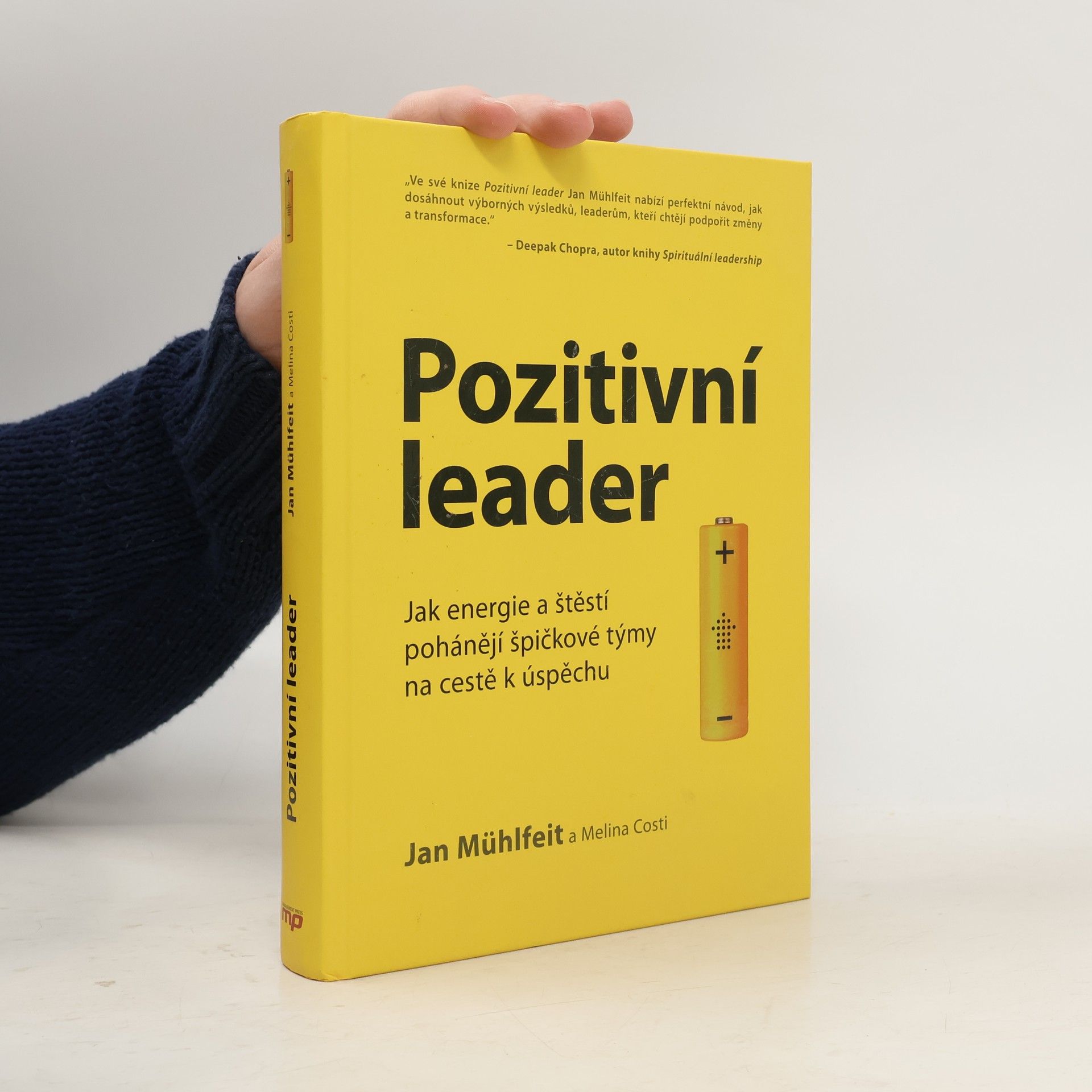 Jan Mühlfeit Pozitivní leader