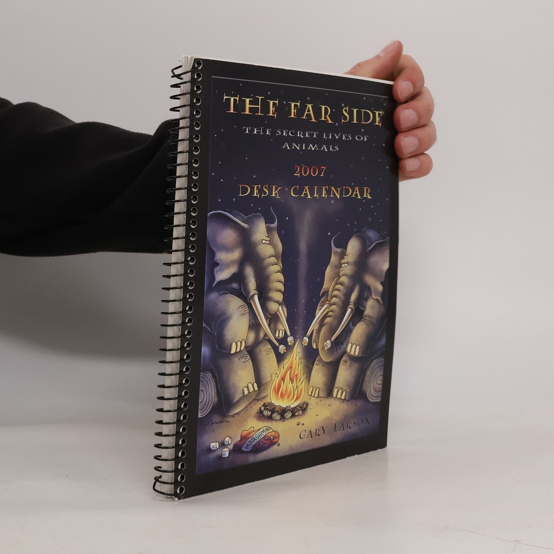 Gary Larson The Far Side 2007 Desk Calendar