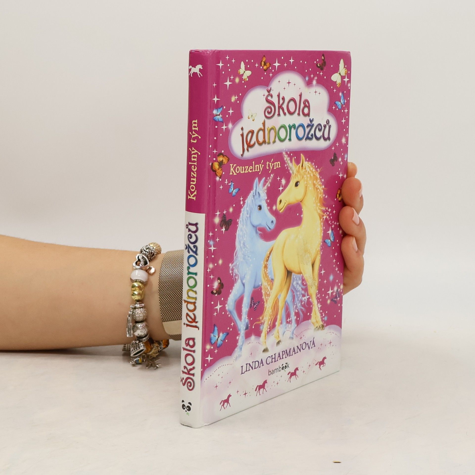 Linda Chapman Kouzelný tým