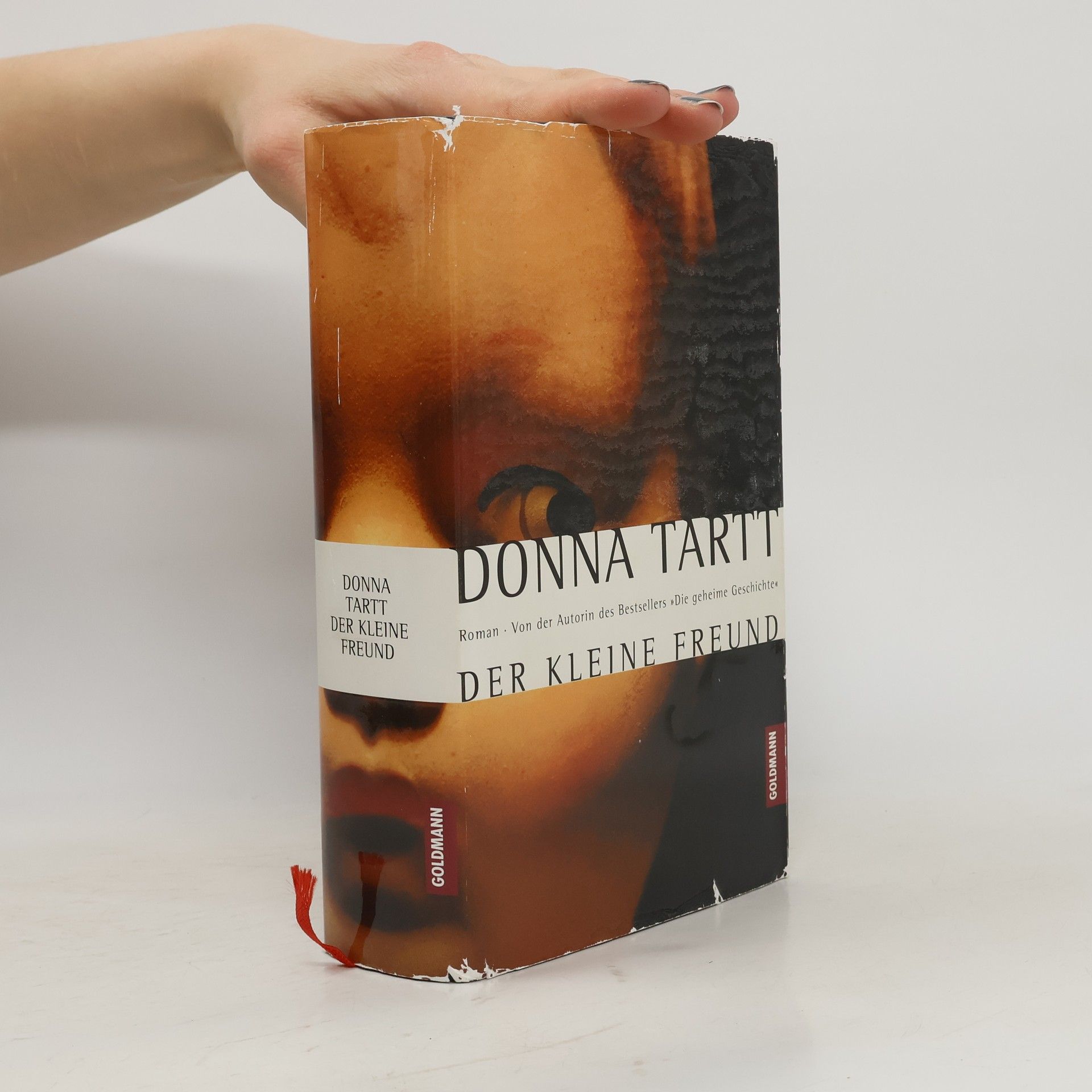Donna Tartt Der kleine Freund