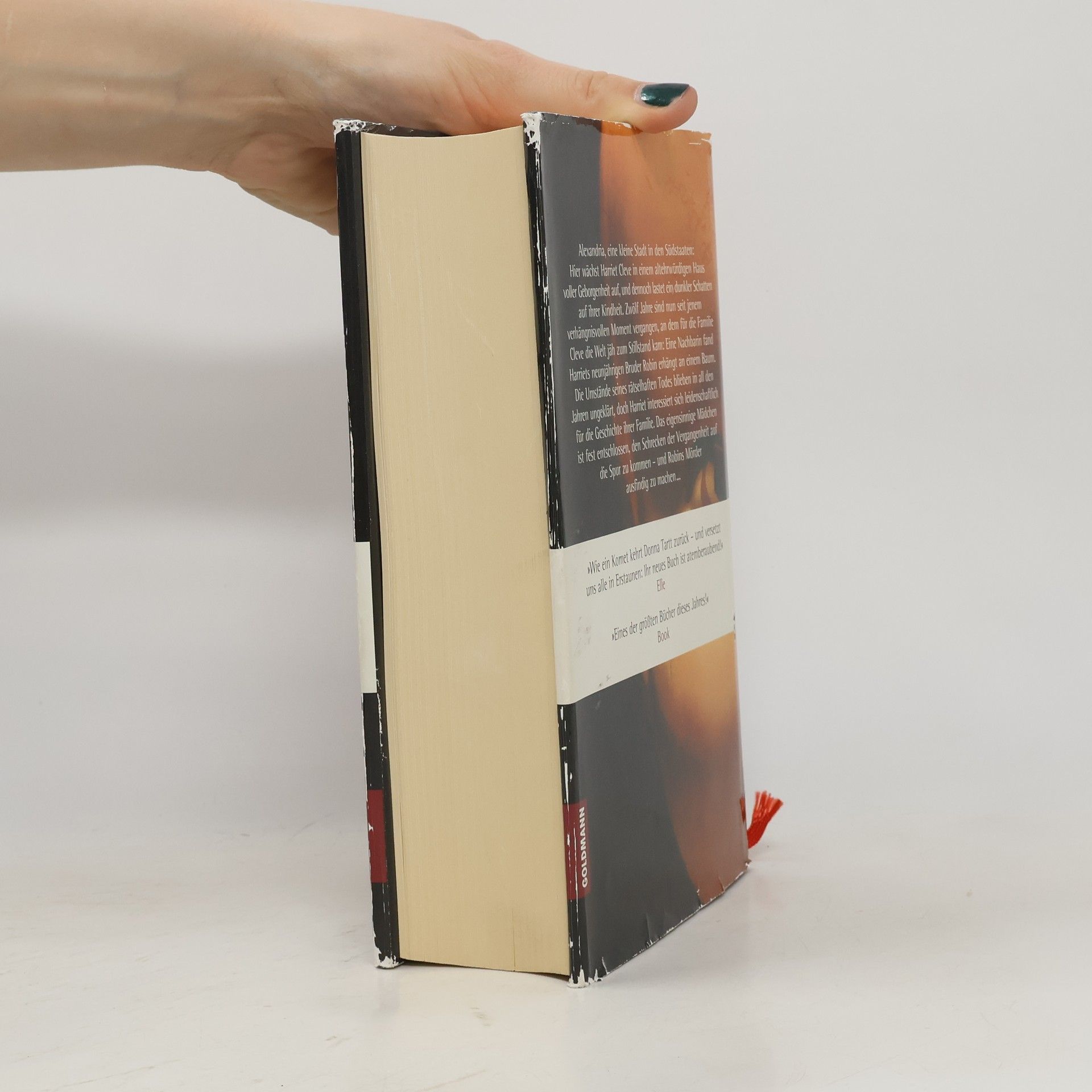 Donna Tartt Der kleine Freund