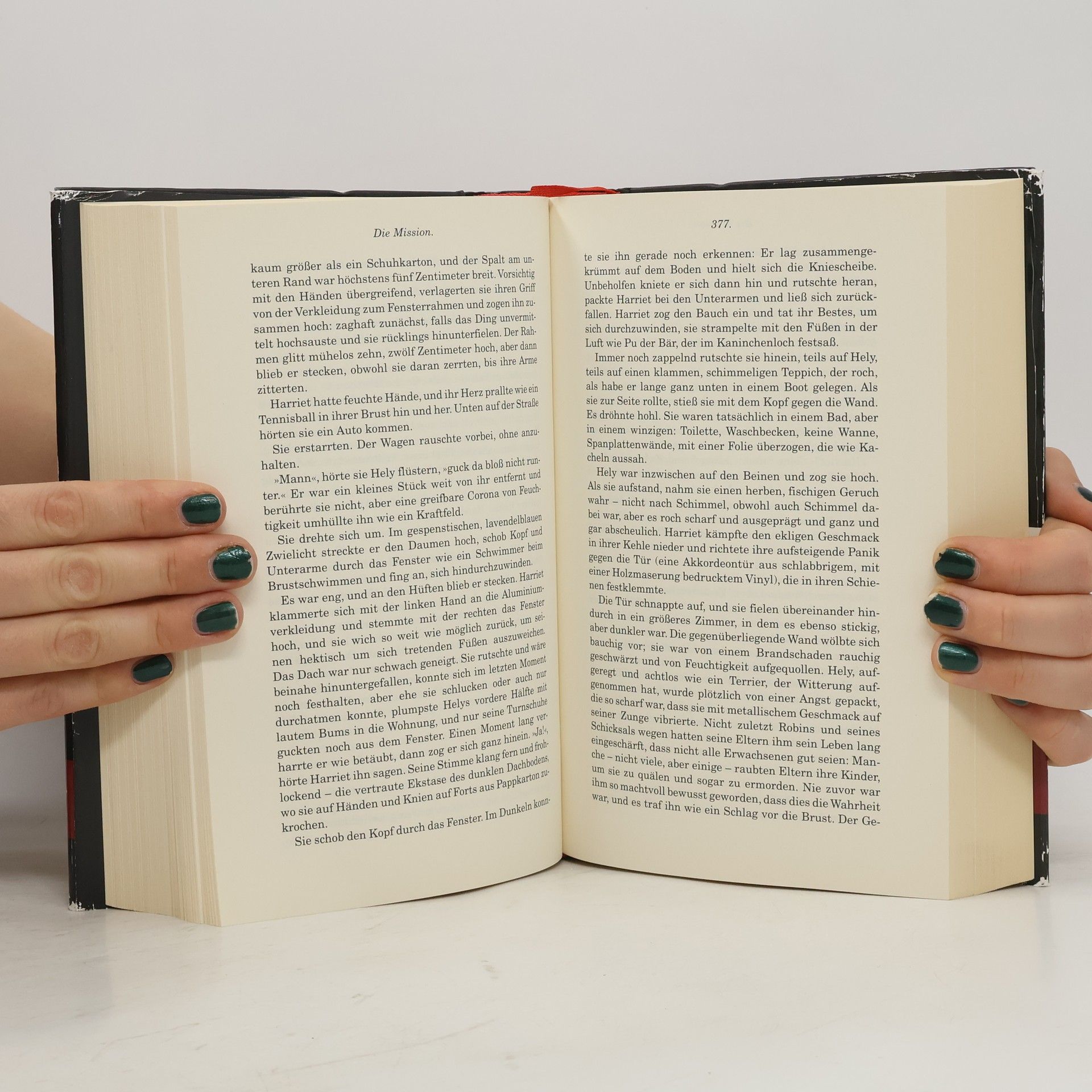 Donna Tartt Der kleine Freund