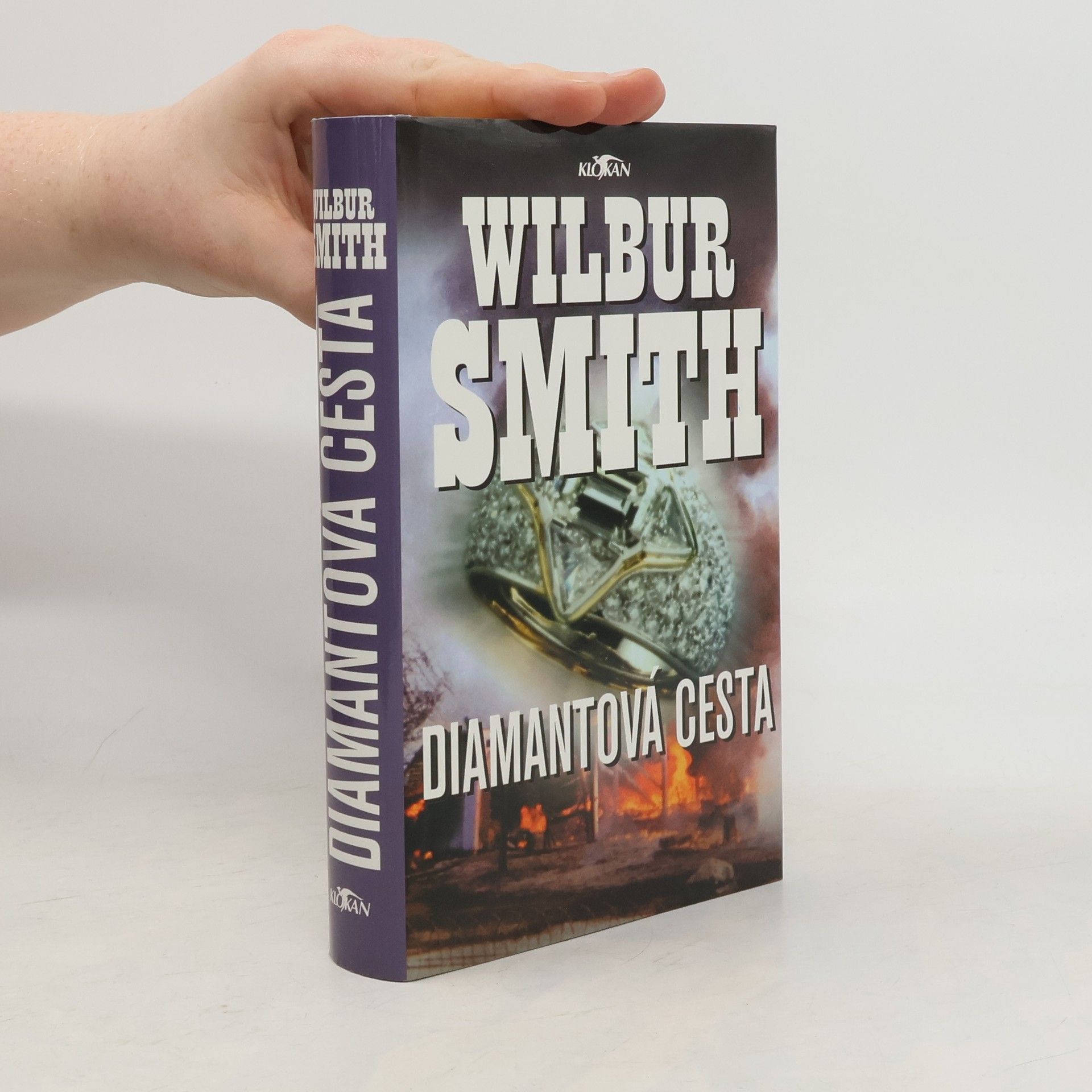 Wilbur A. Smith Diamantová cesta