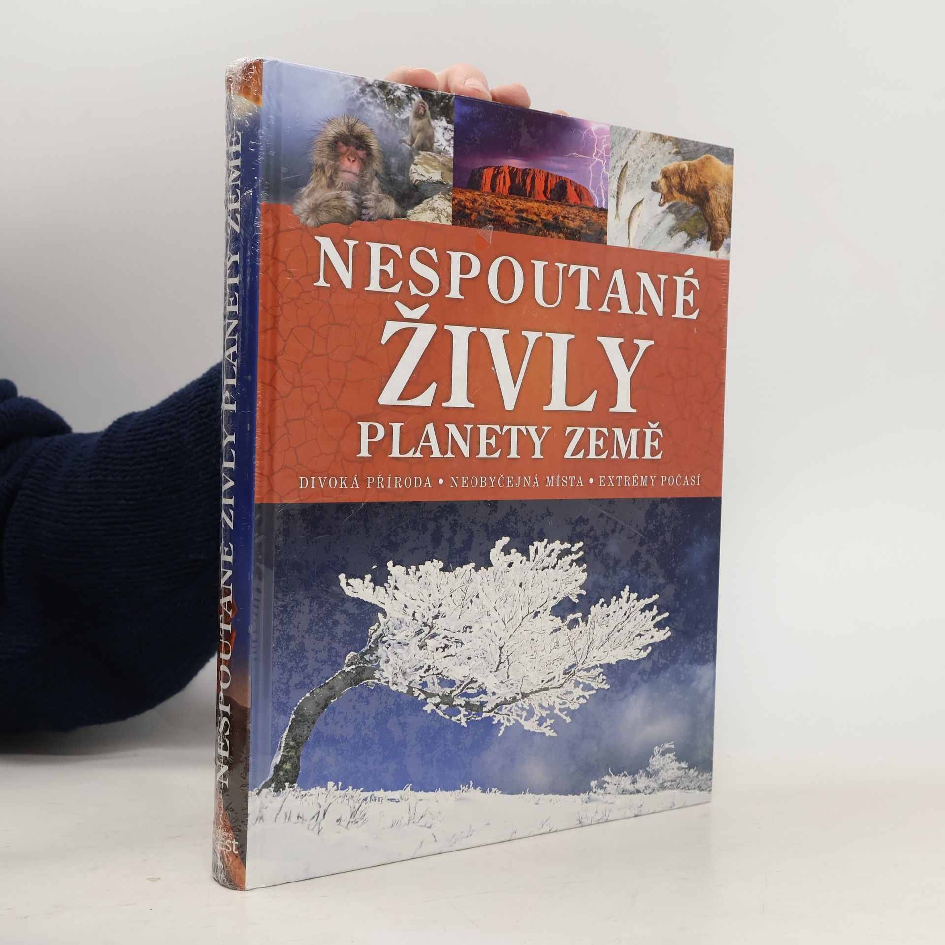 Nespoutané živly planety Země