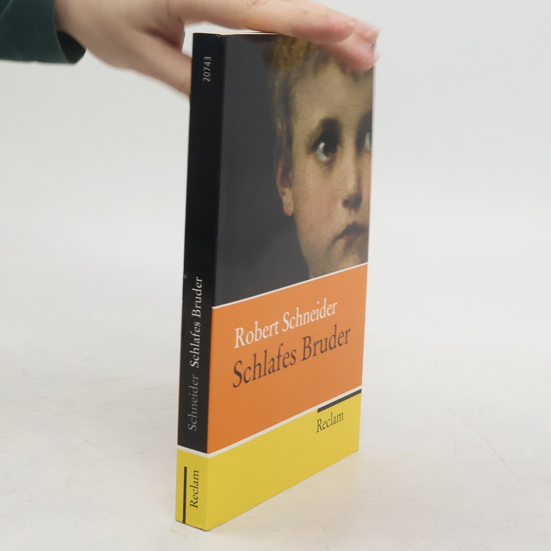 Robert Schneider Schlafes Bruder