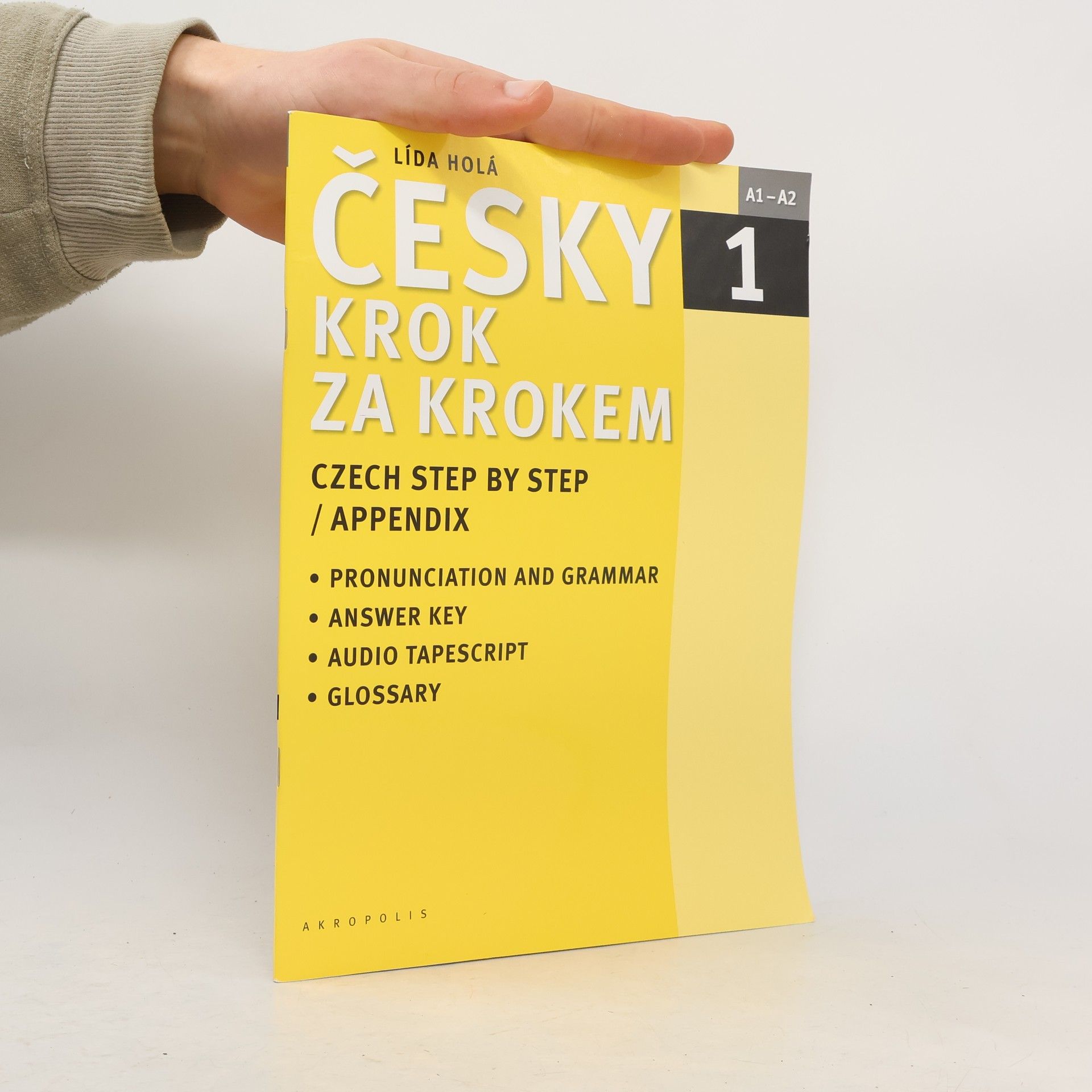 Lída Holá Česky krok za krokem 1. A1-A2 příloha