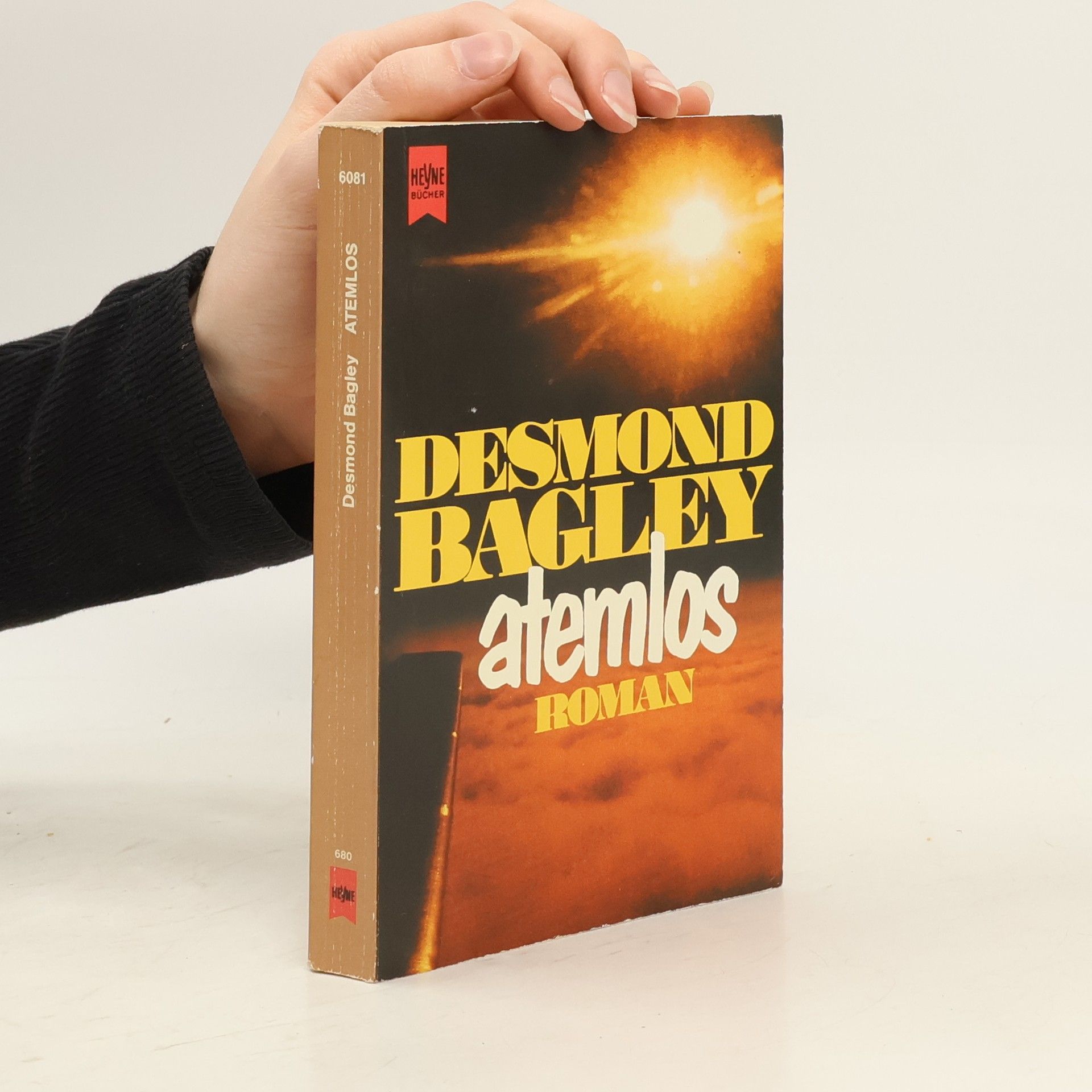 Desmond Bagley Atemlos