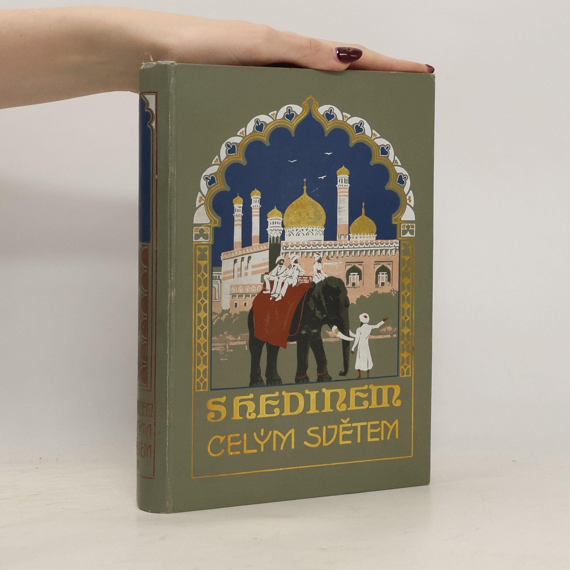 Sven Hedin S Hedinem celým světem II