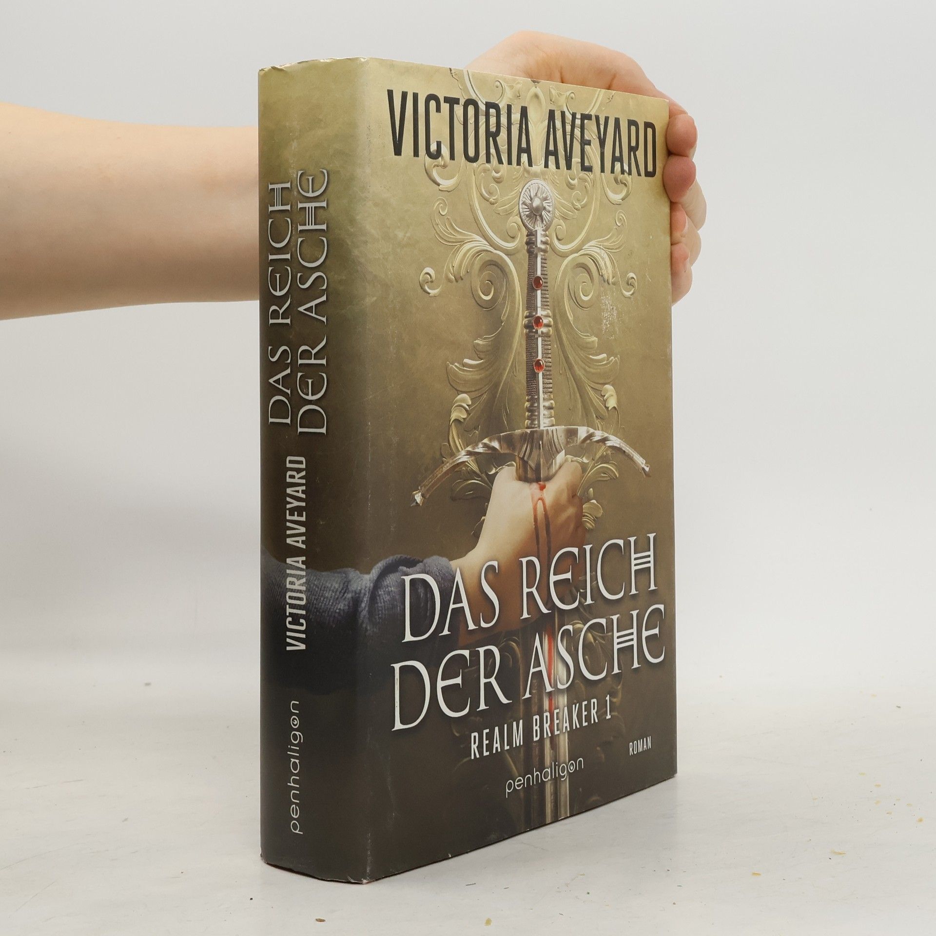 Victoria Aveyard Das Reich der Asche - Realm Breaker 1