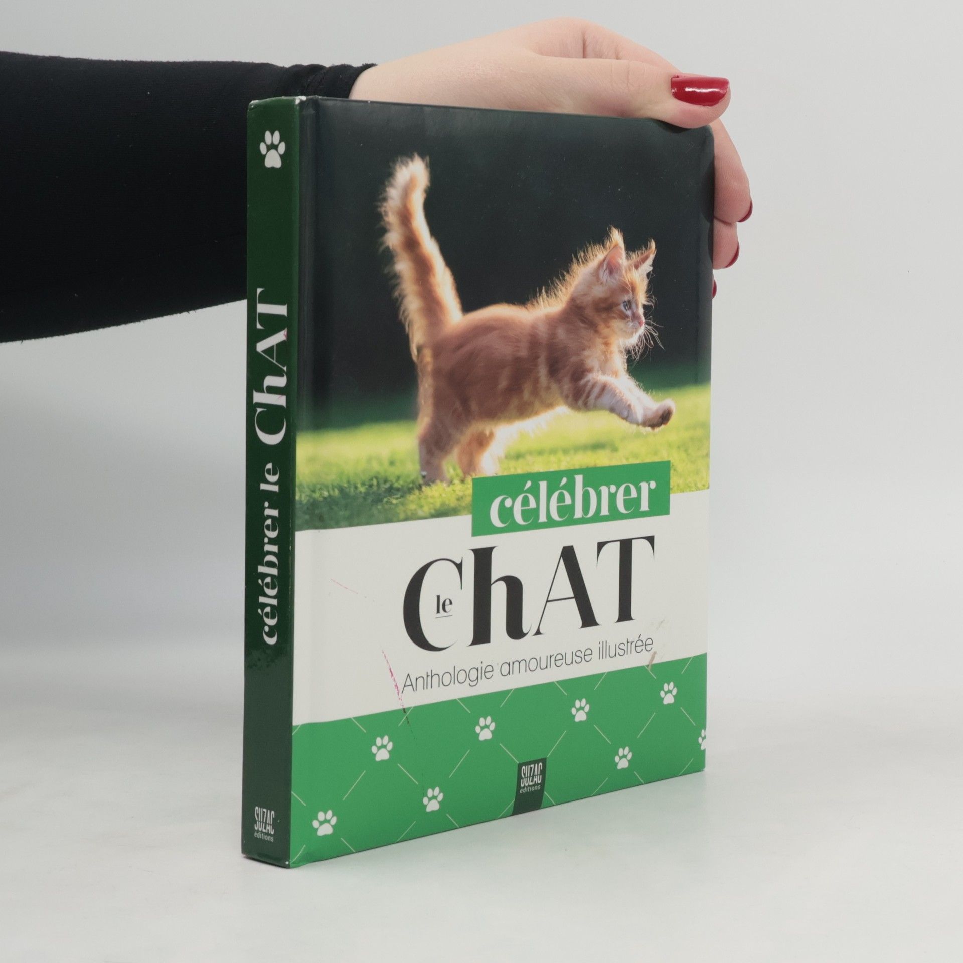 Autorenkollektiv Célébrer le chat