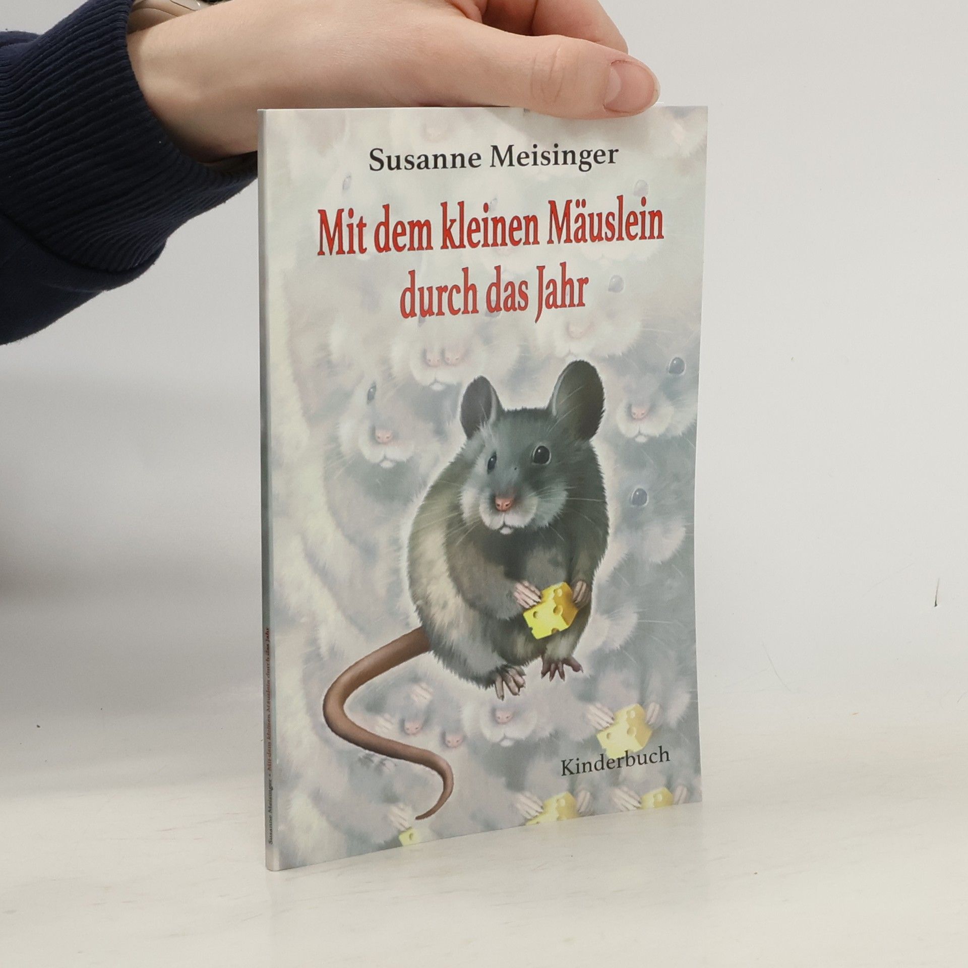 Susanne Meisinger Mit dem kleinen Mäuslein durch das Jahr