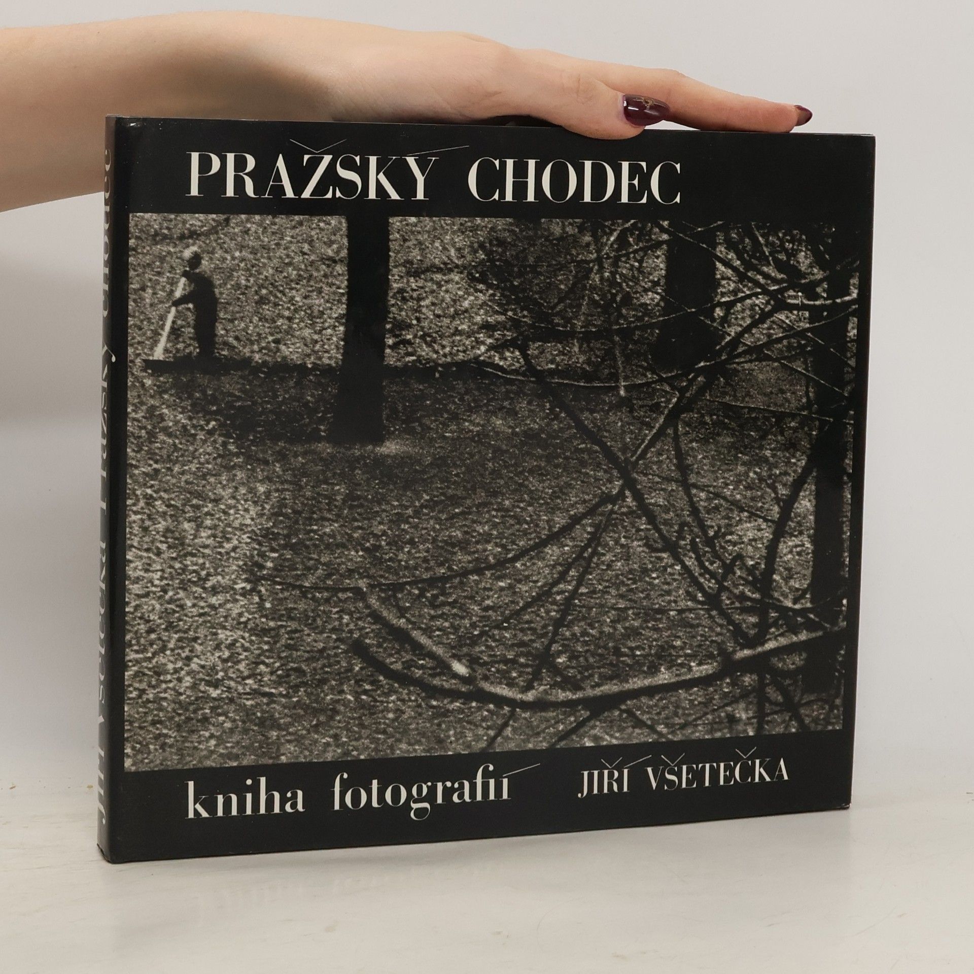 Jiri Vsetecka Pražský chodec