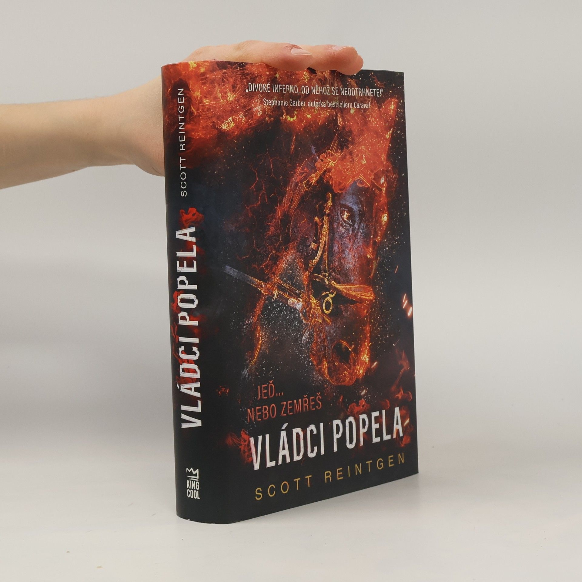 Scott Reintgen Vládci popela