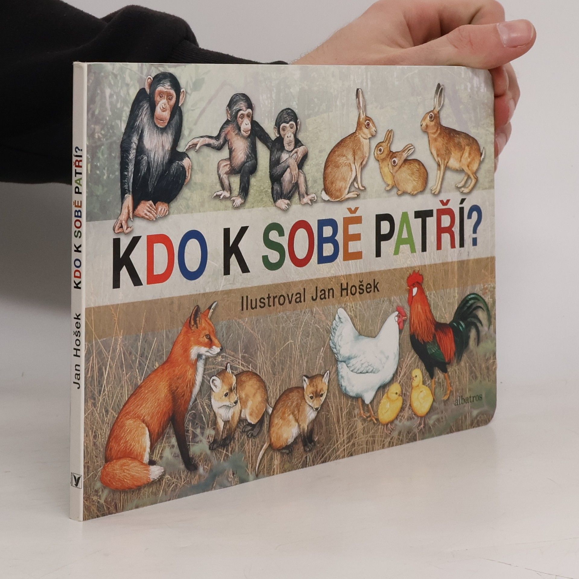 Kdo k sobě patří?