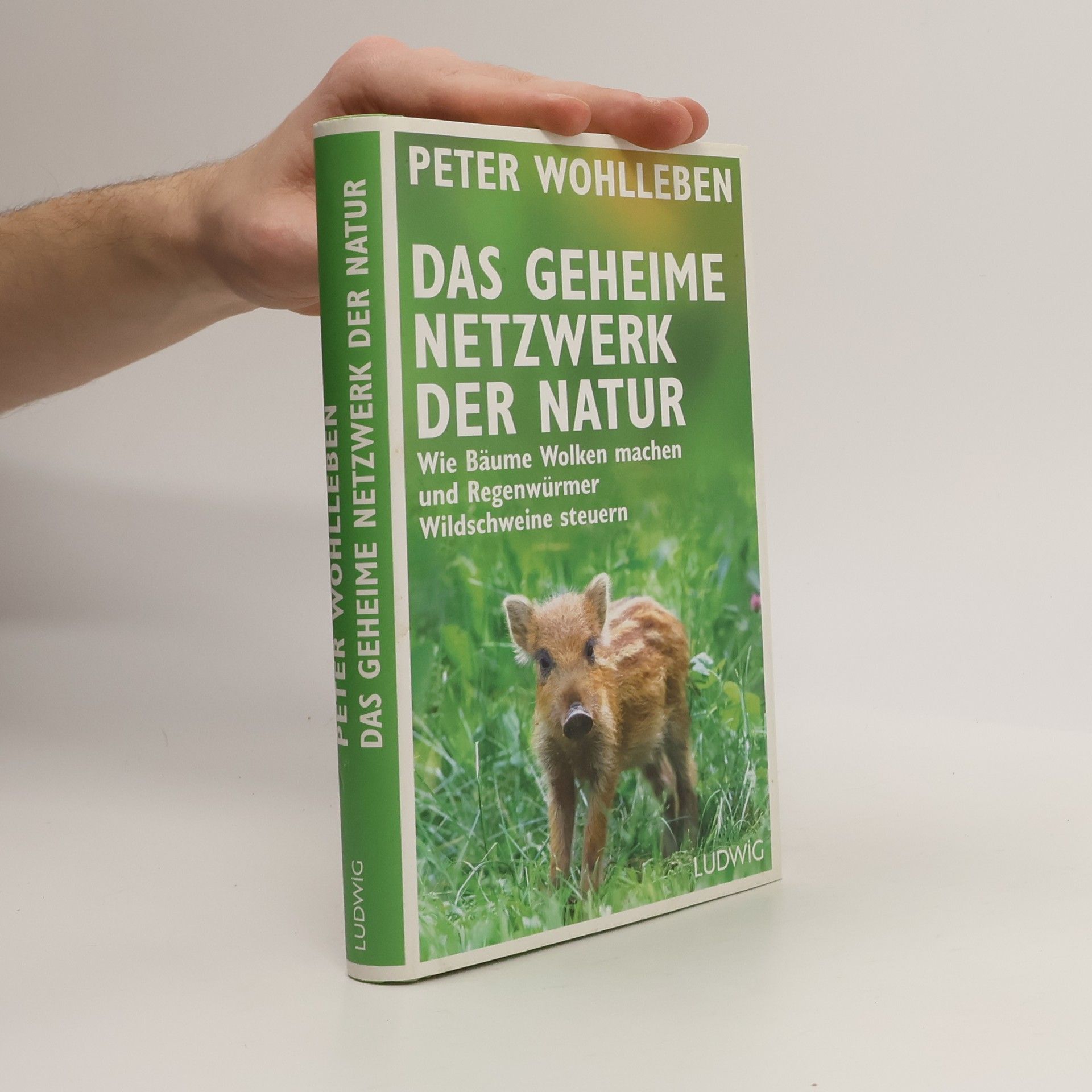 Das geheime Netzwerk der Natur