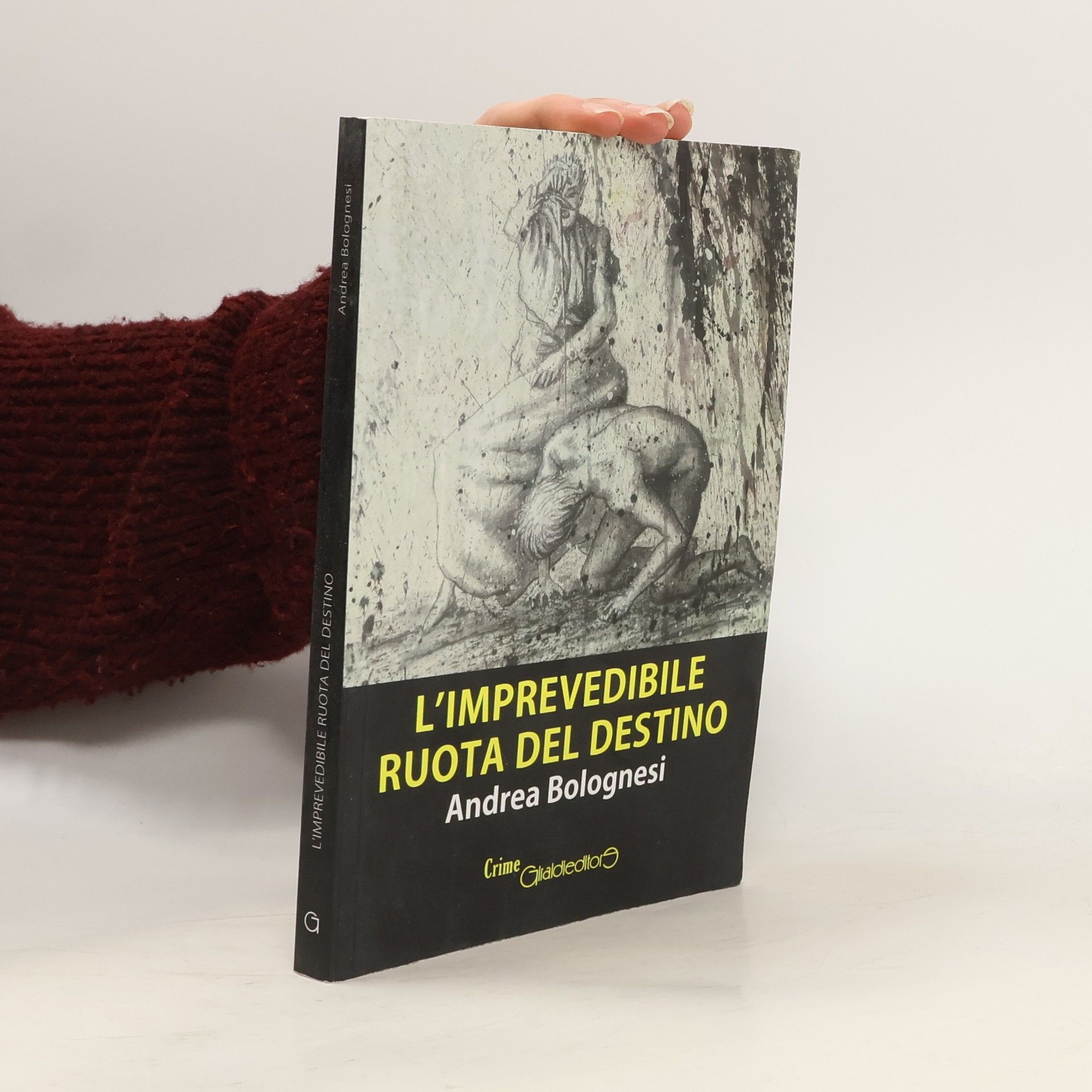 Andrea Bolognesi L'Imprevedibile ruota del destino