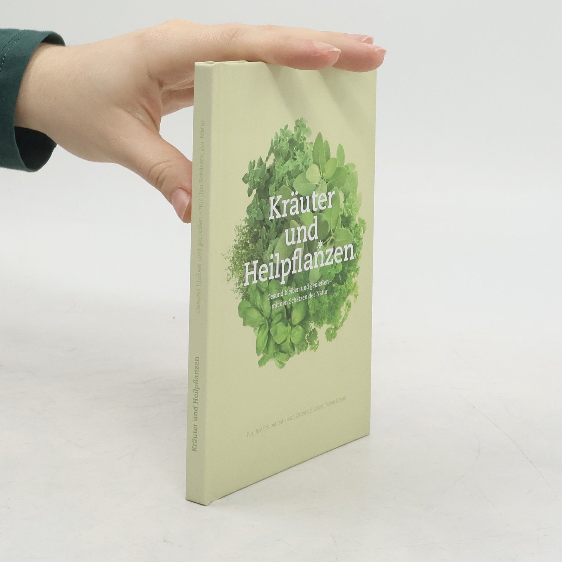 Autorenkollektiv Kräuter und Heilpflanzen