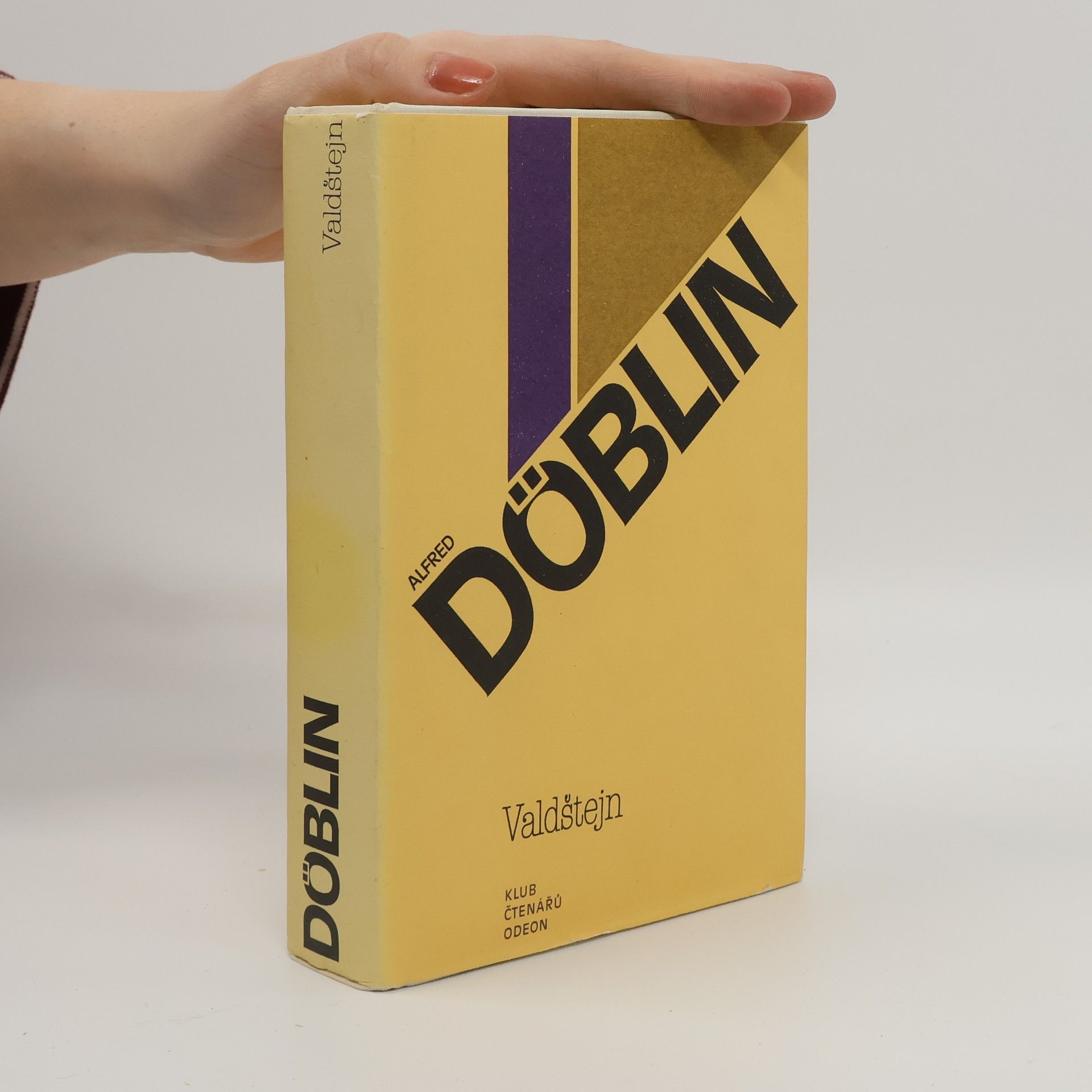 Alfred Döblin Valdštejn