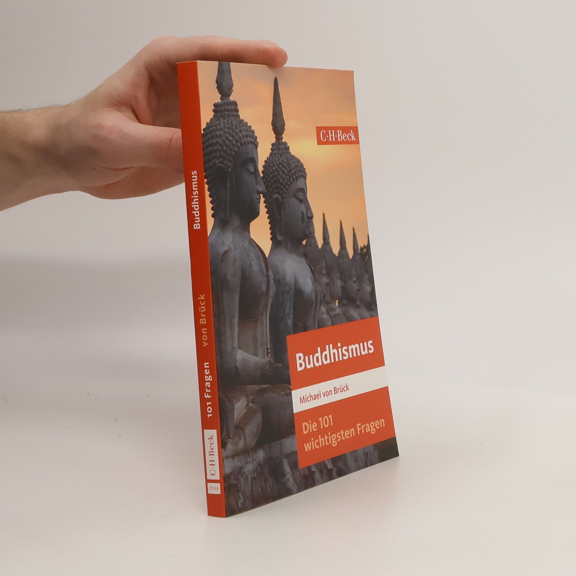 Michael Brück Die 101 wichtigsten Fragen: Buddhismus