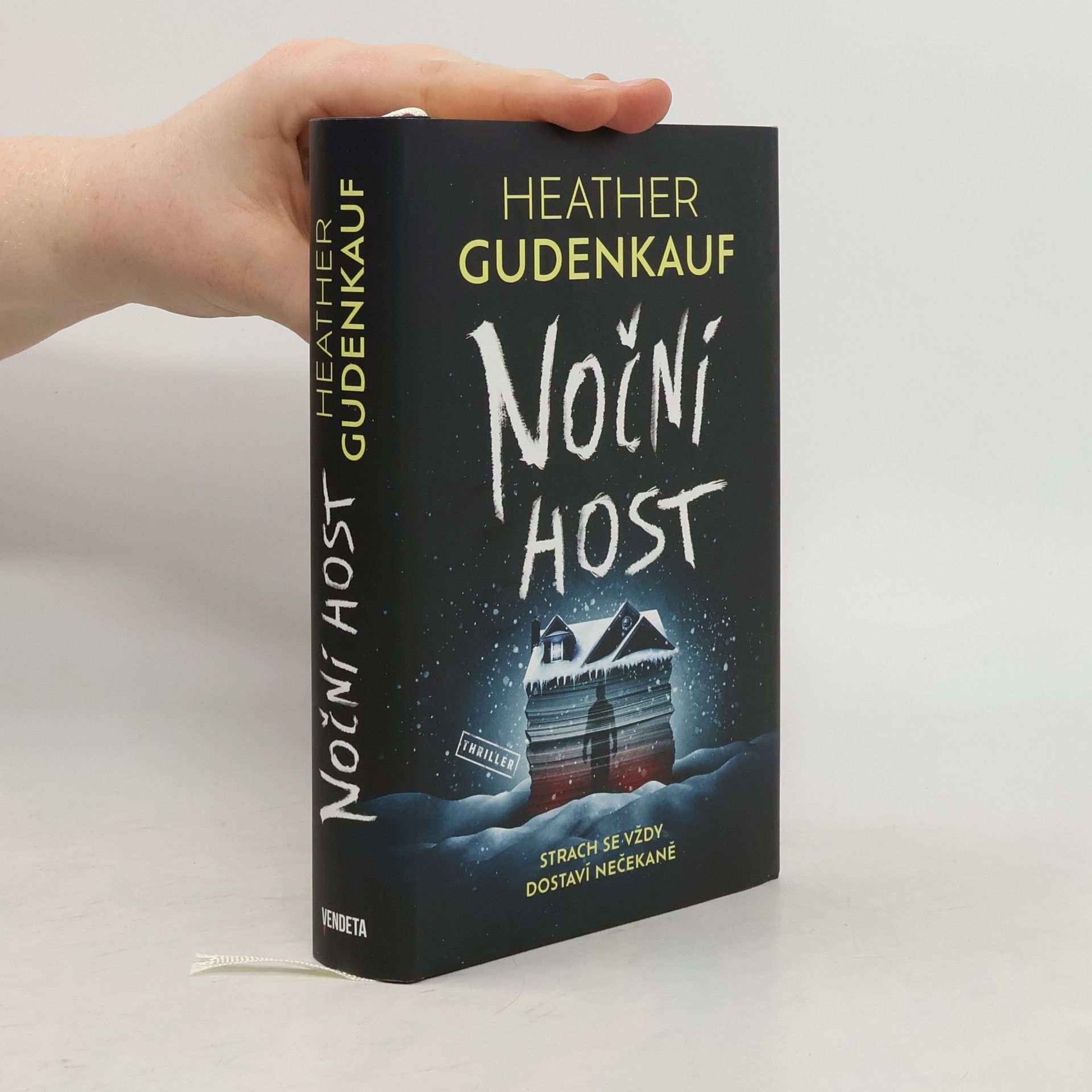 Heather Gudenkauf Noční host