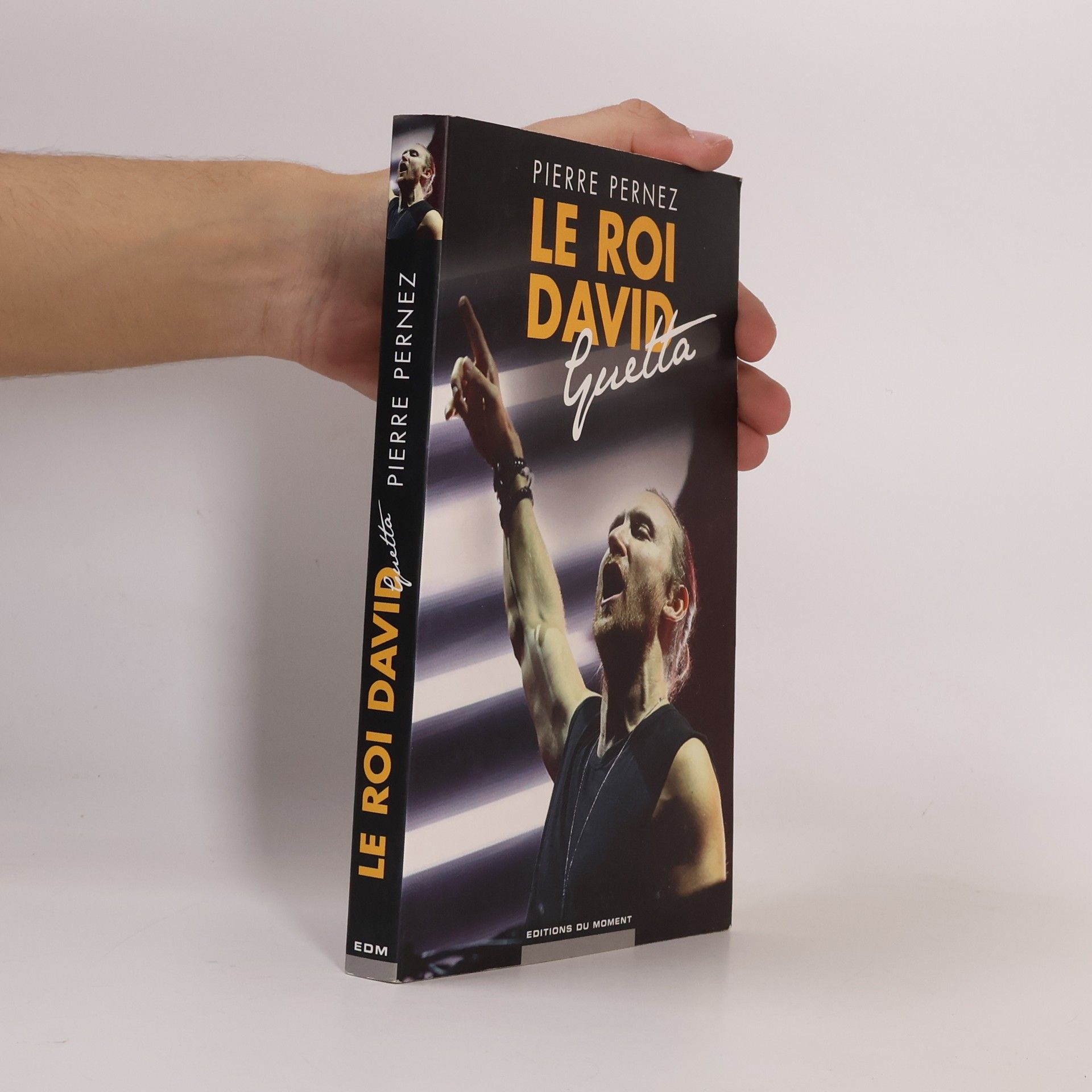 Pierre Pernez Le roi David Guetta