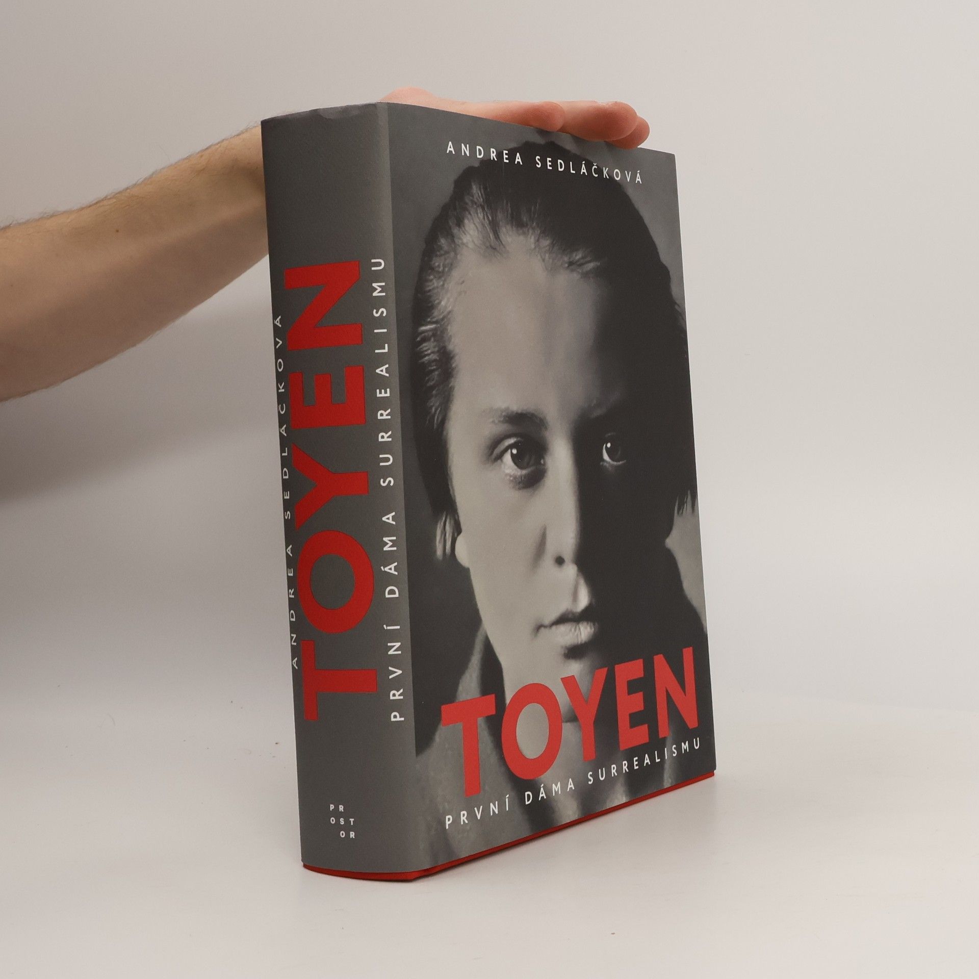 Andrea Sedláčková Toyen: první dáma surrealismu