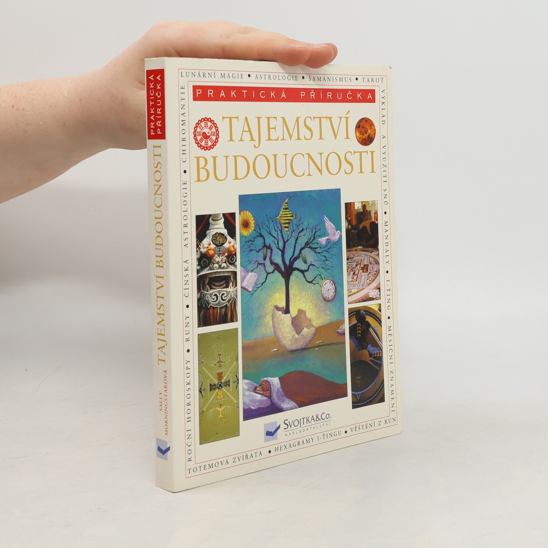 Sally Morningstar Tajemství budoucnosti