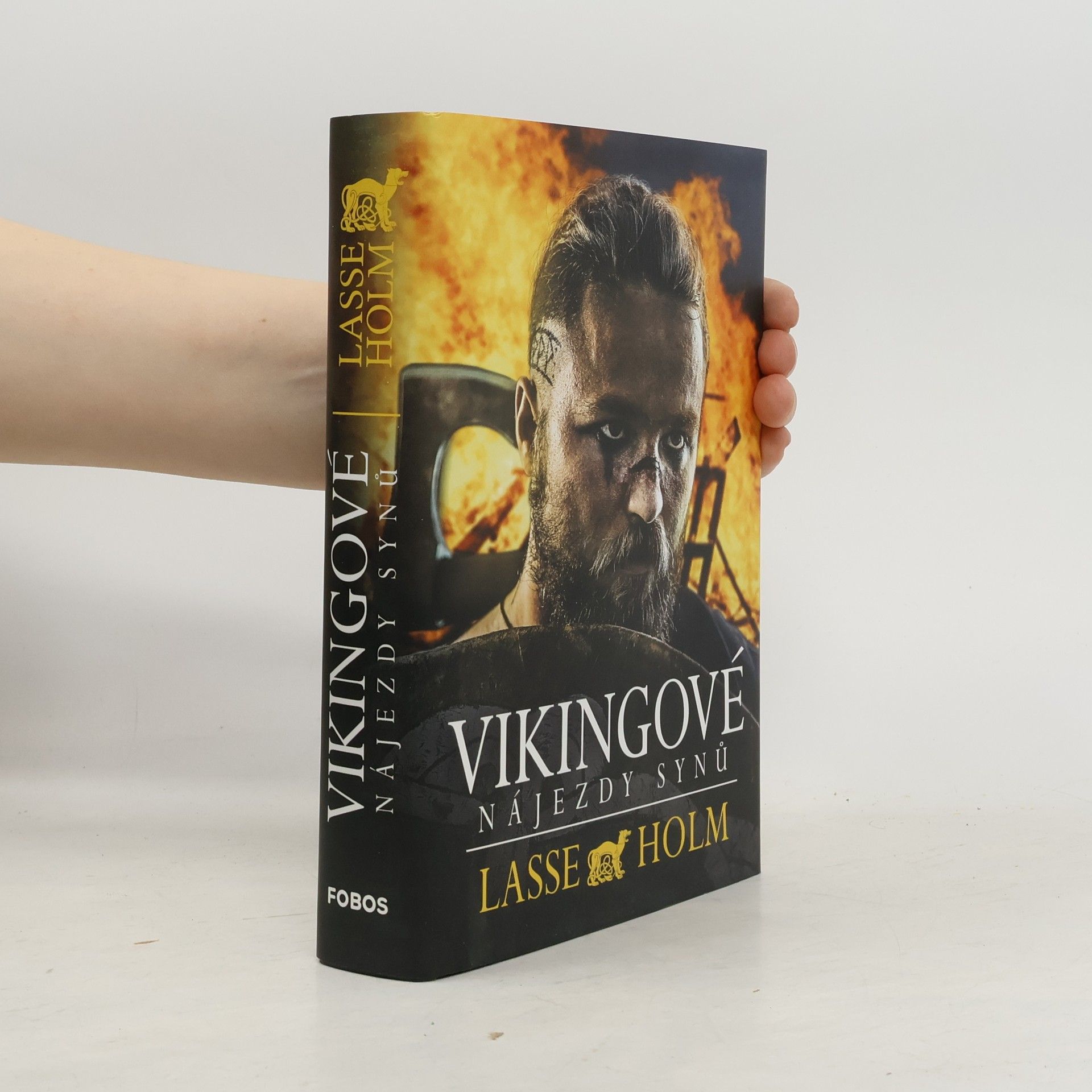 Lasse Holm Vikingové. Nájezdy synů