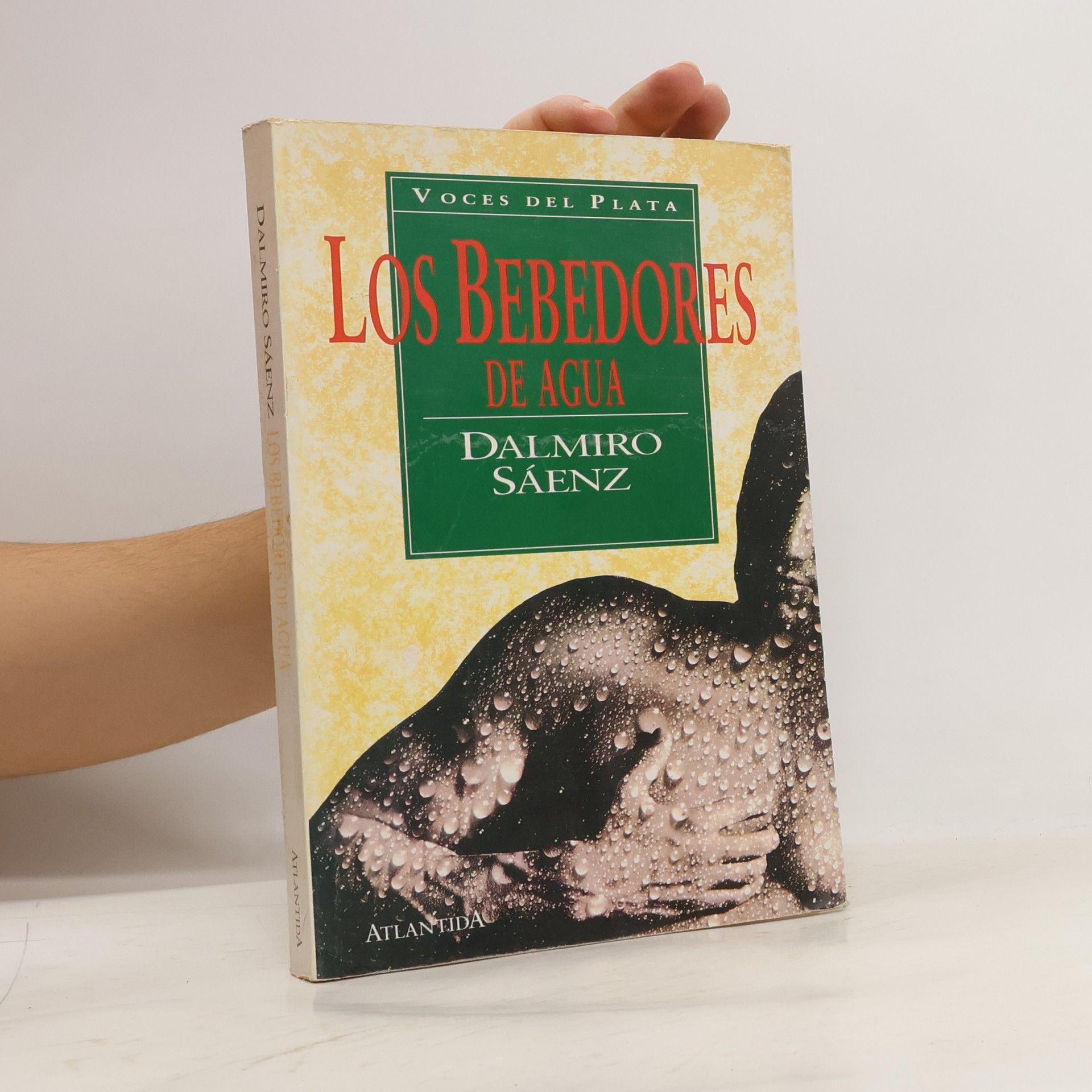 Dalmiro Sáenz Los bebedores de agua