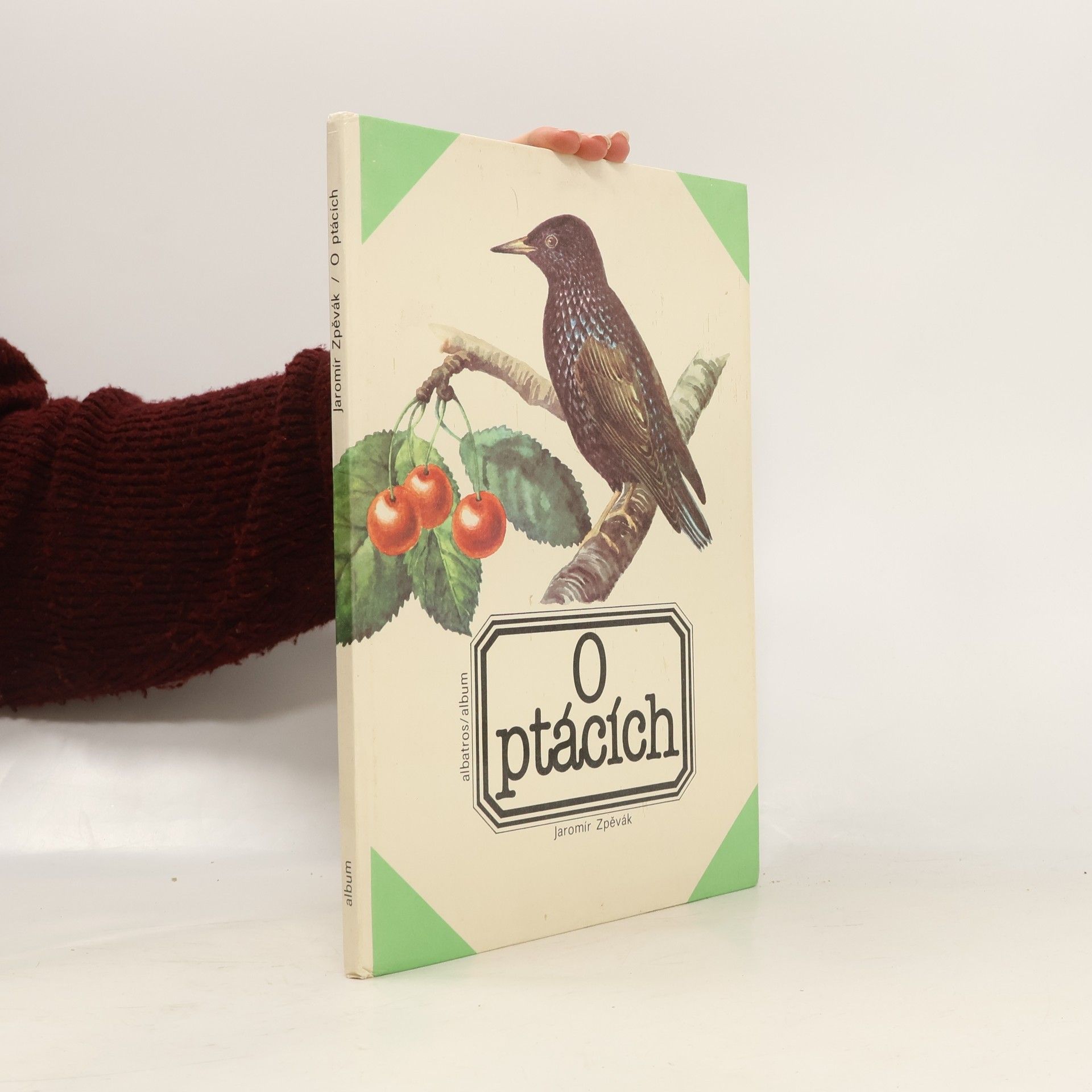 O ptácích