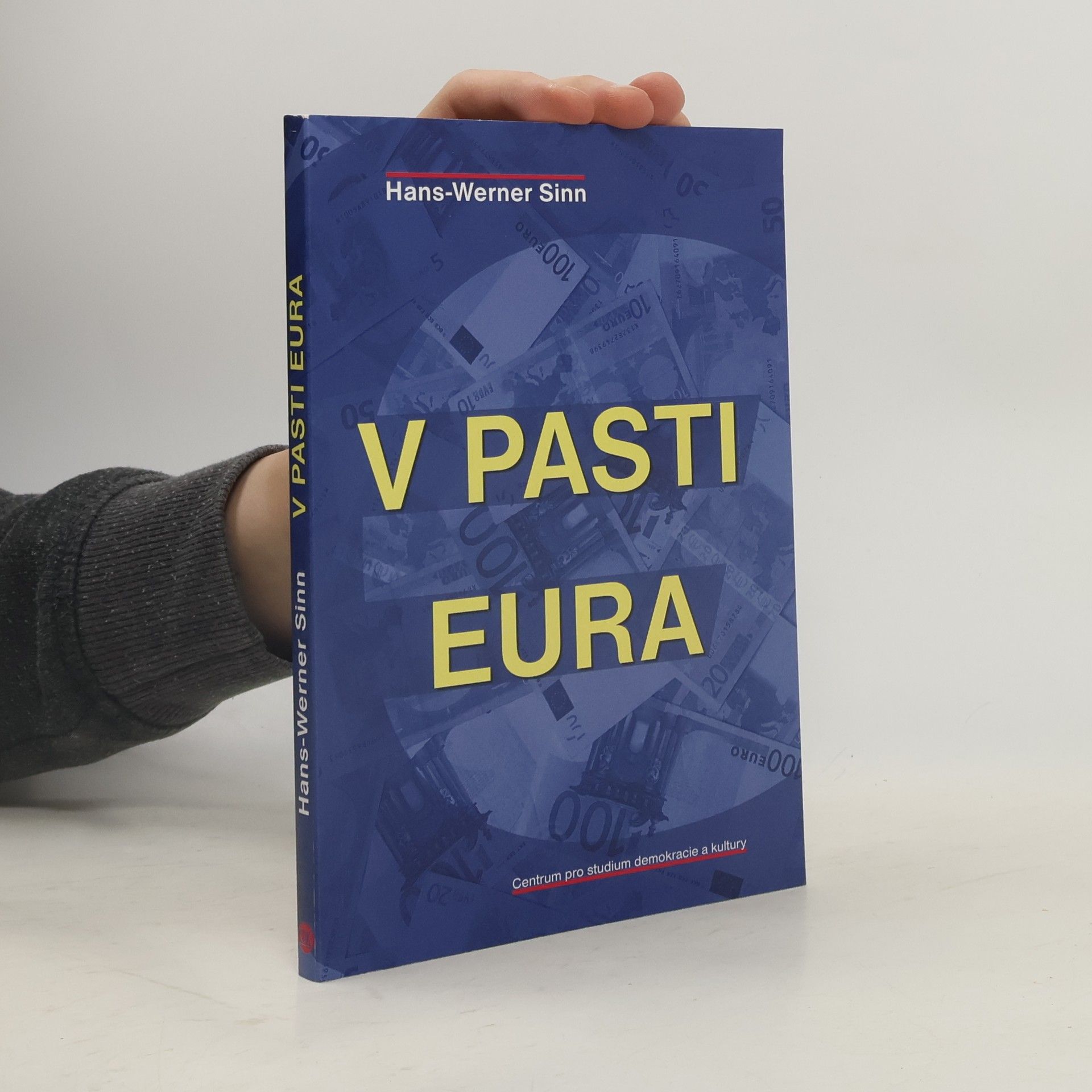 Werner Sinn V pasti eura