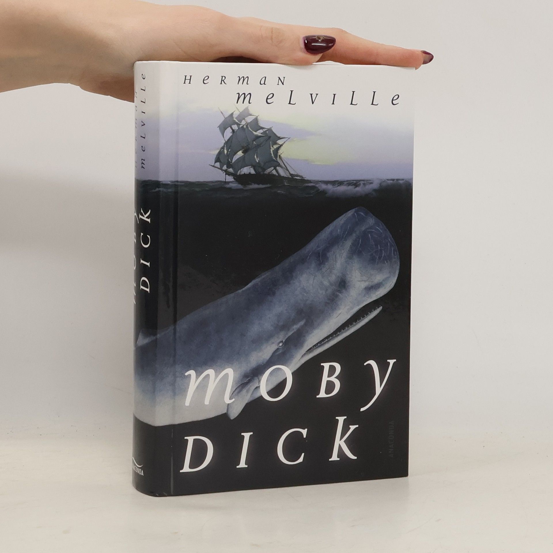 Herman Melville Moby Dick oder der weiße Wal