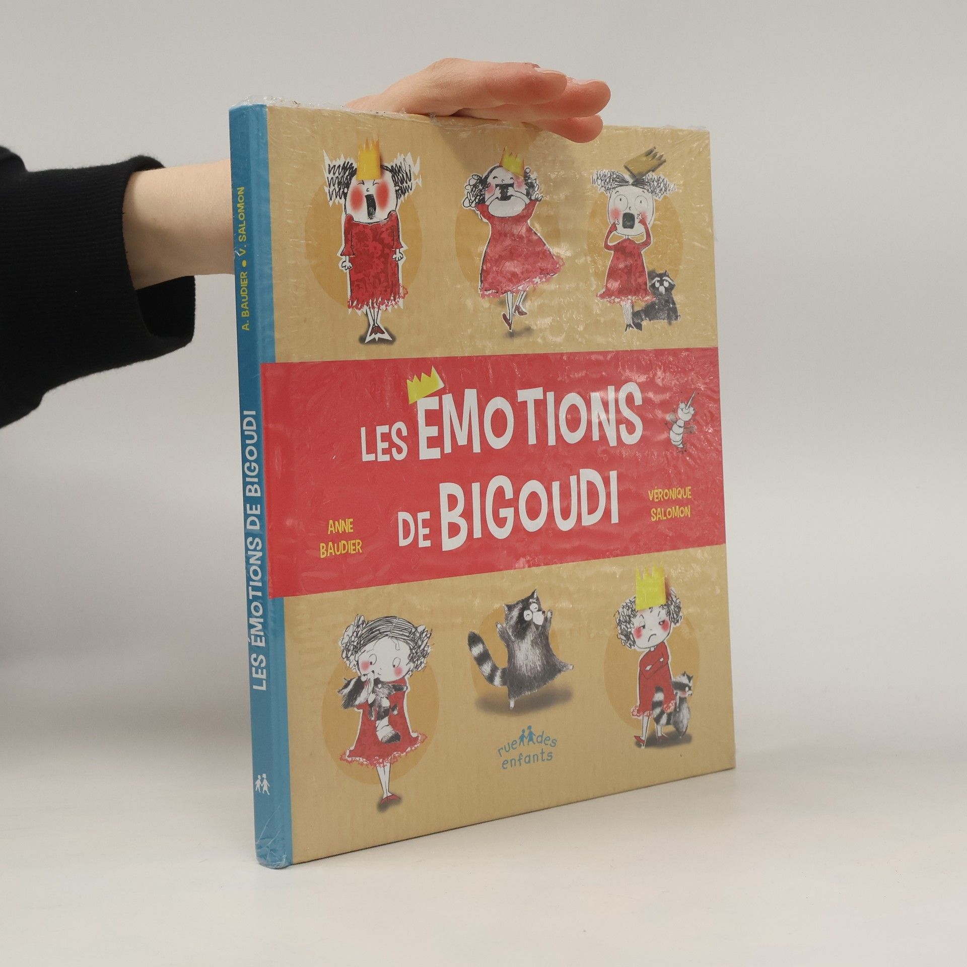 Anne Baudier Les émotions de Bigoudi