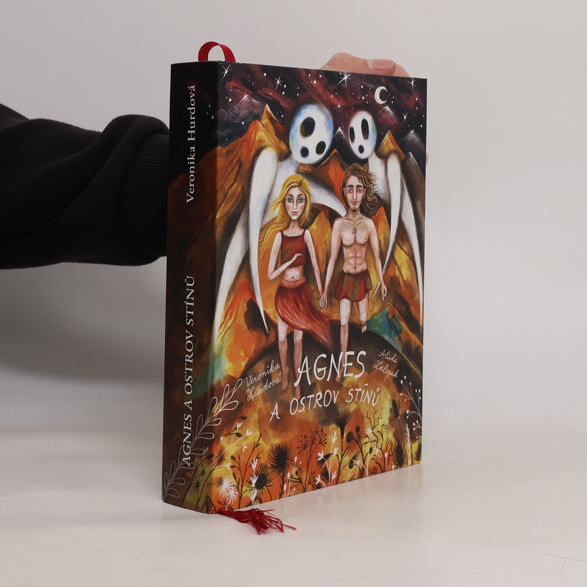Veronika Hurdová Agnes a ostrov Stínů