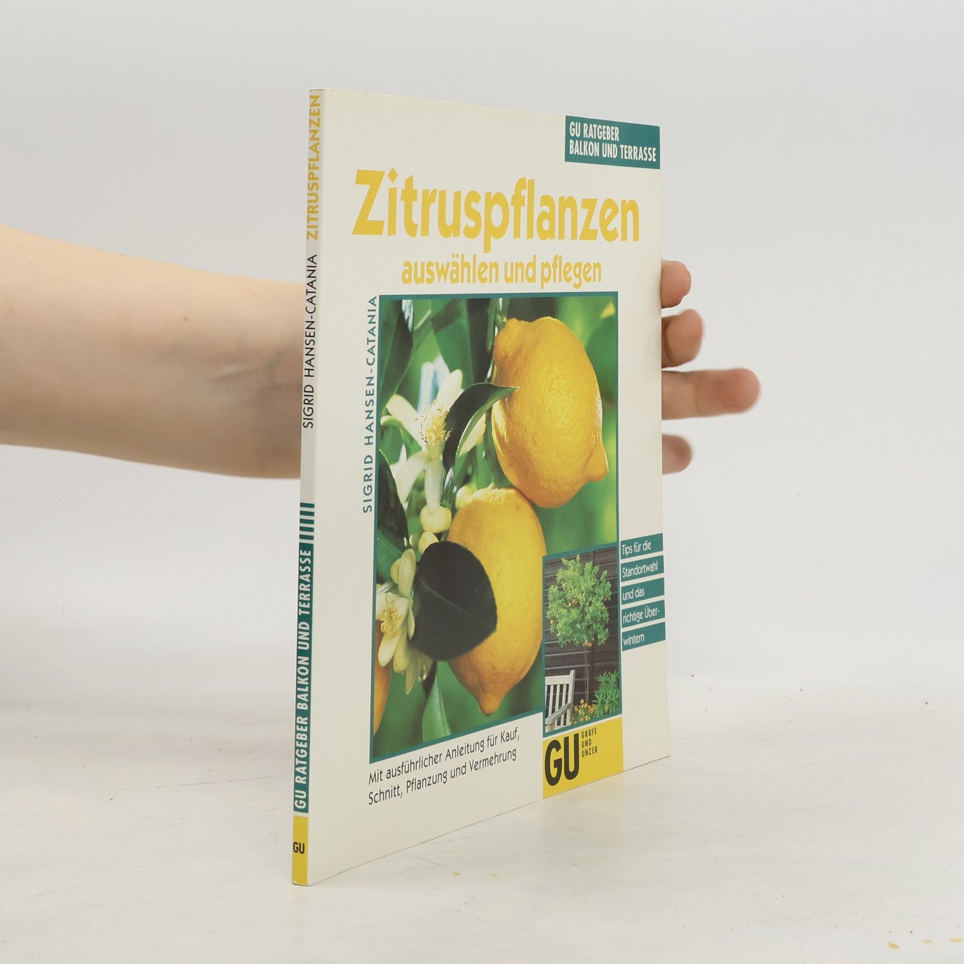 Sigrid Hansen-Catania Zitruspflanzen auswählen und pflegen