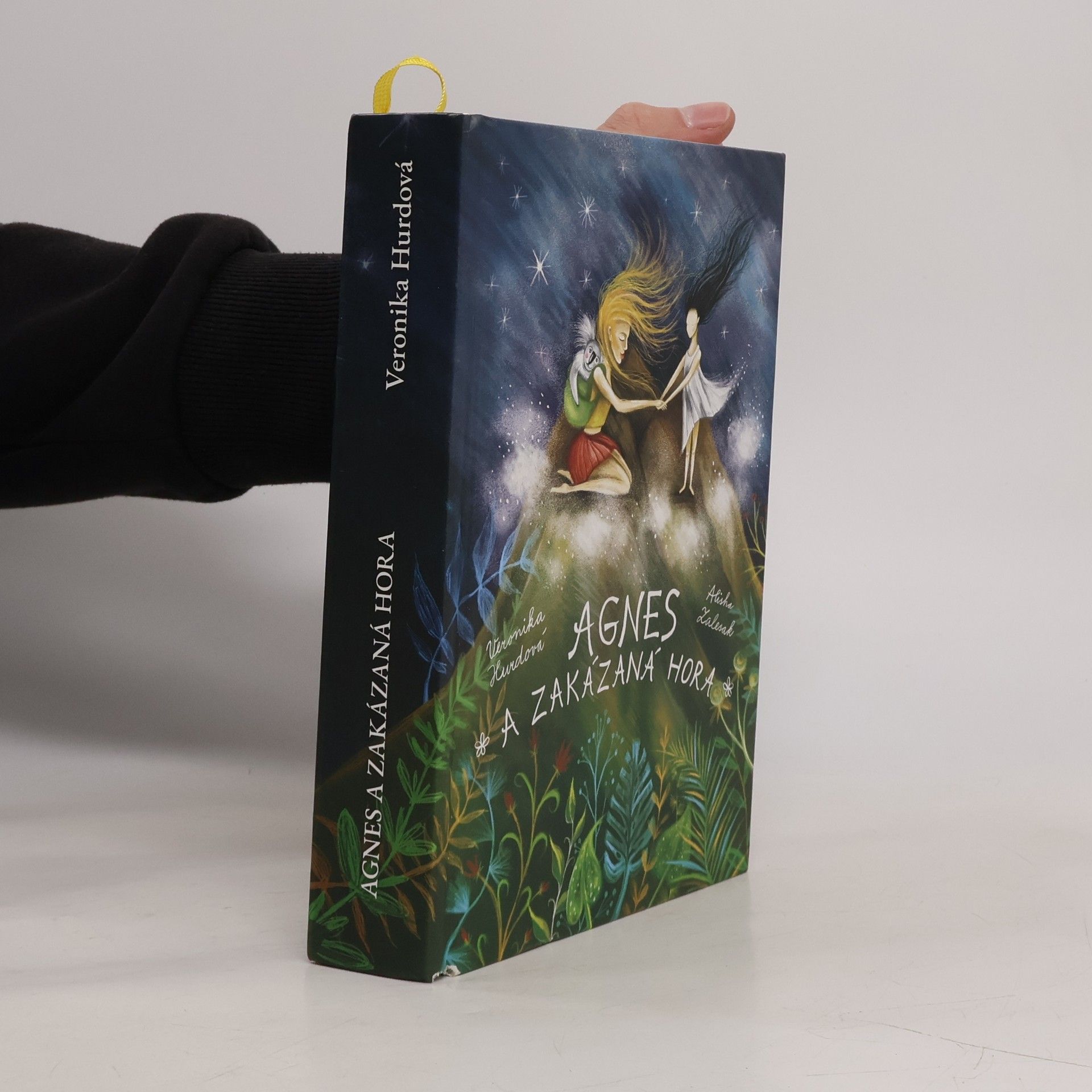 Veronika Hurdová Agnes a Zakázaná hora
