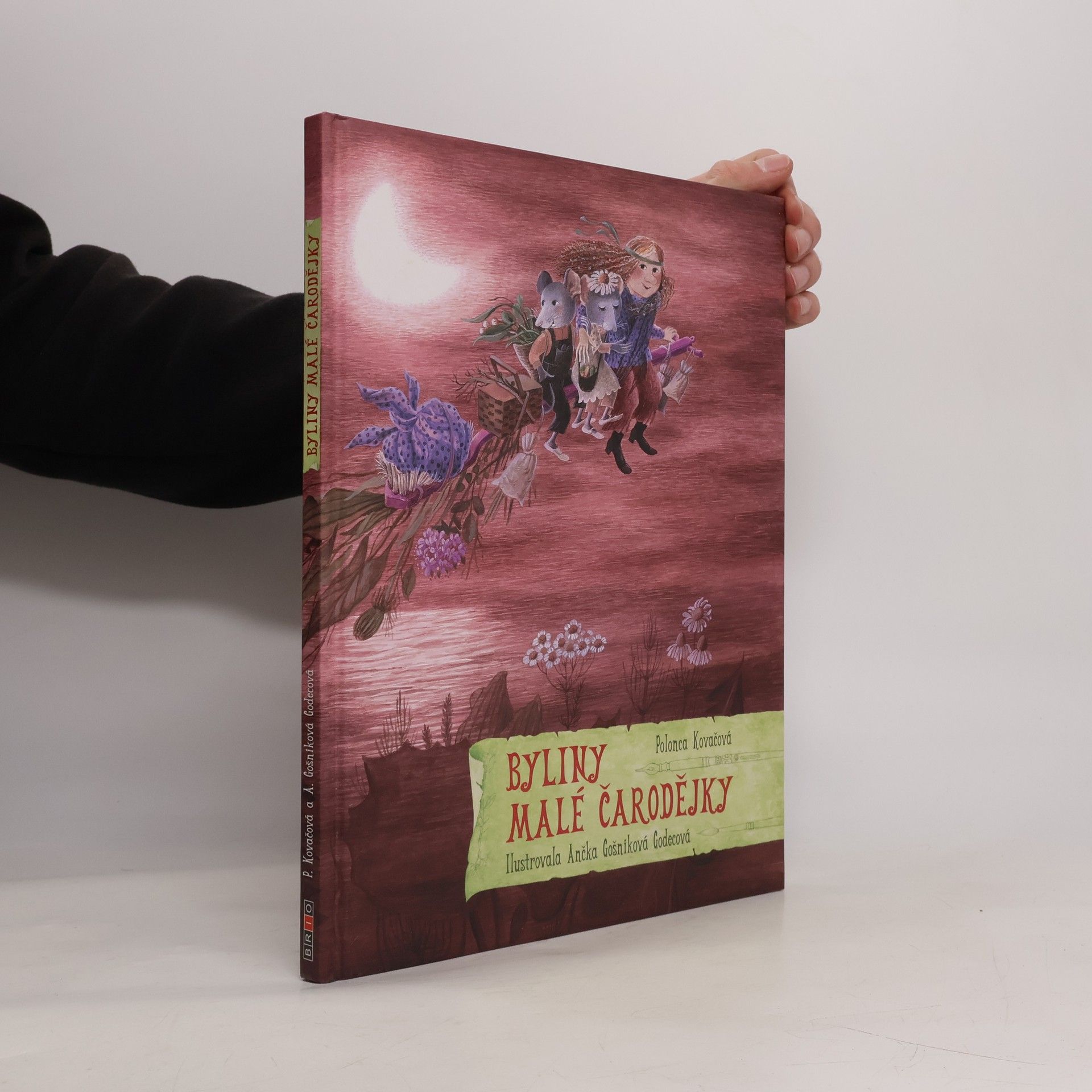 Polonca Kovač Byliny malé čarodějky