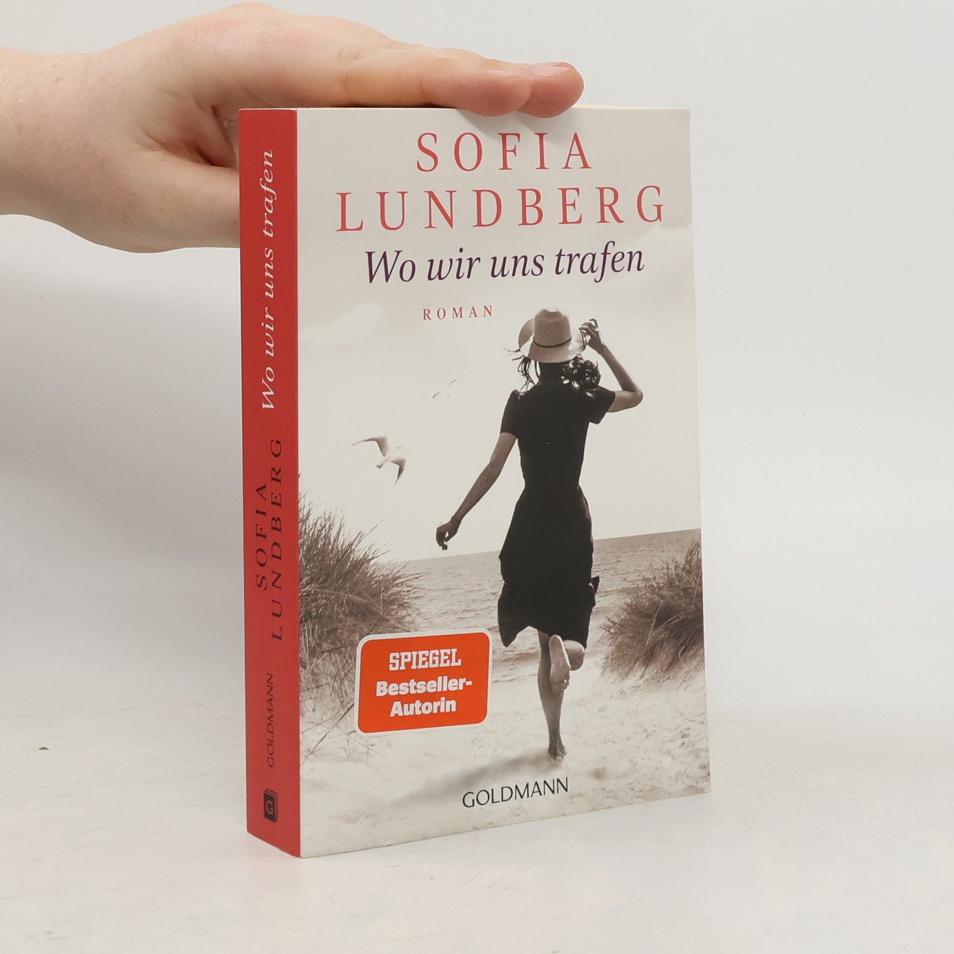 Sofia Lundberg Wo wir uns trafen